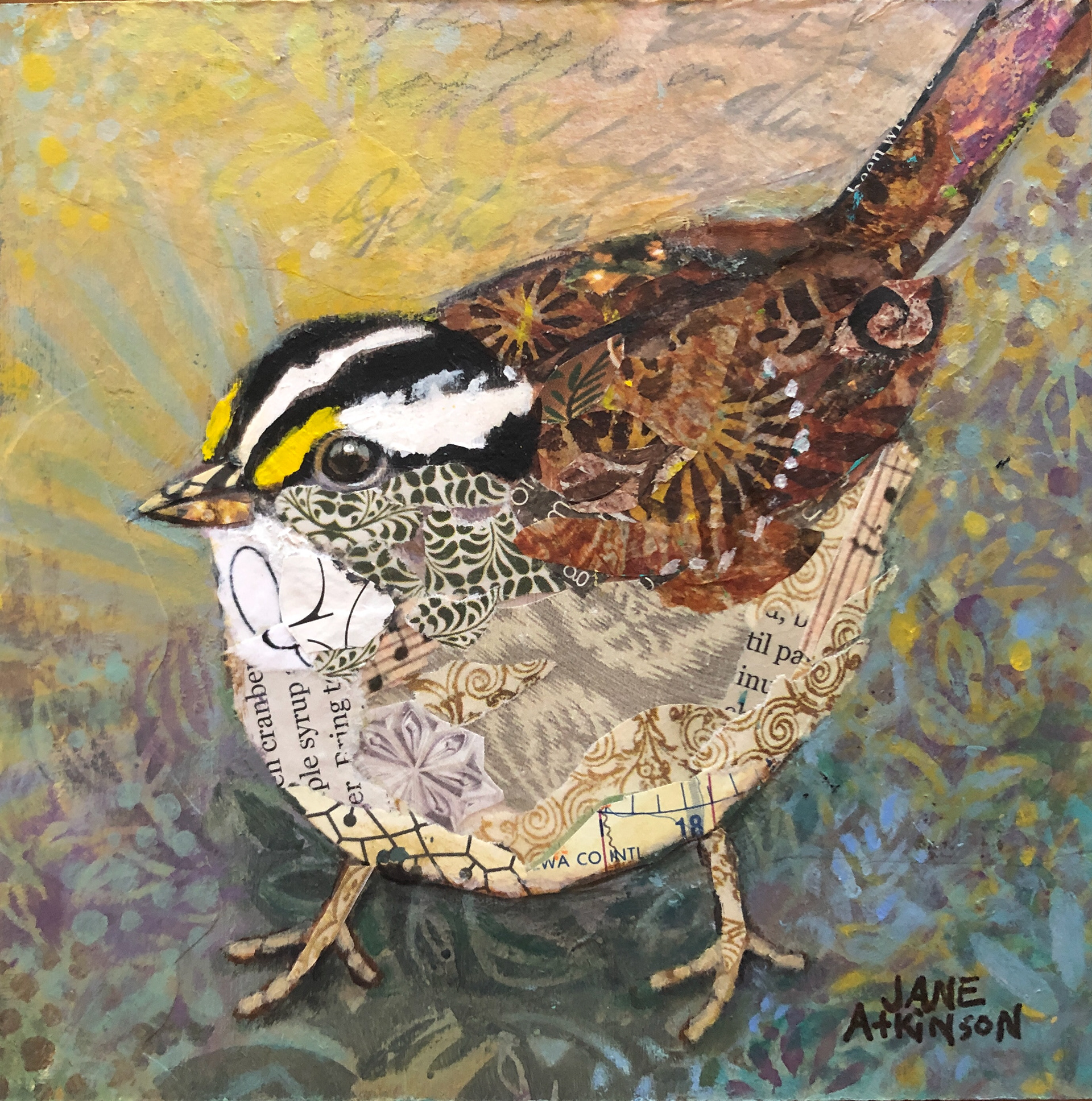 SOLD, White Throated Sparrow, 4" x 4" x 1.5"deep, Mixed Media on Gallery Depth Cradled Board