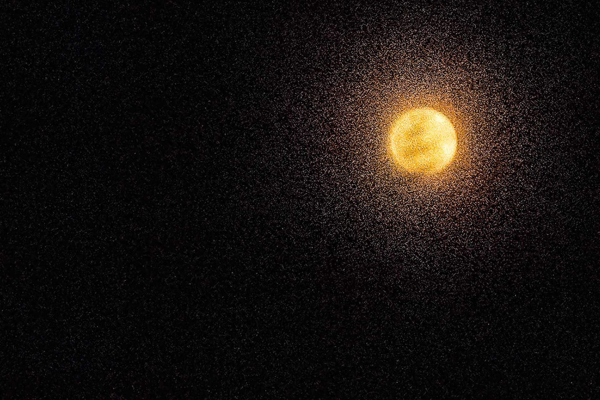 Sunny Moon de Carol Tinoco