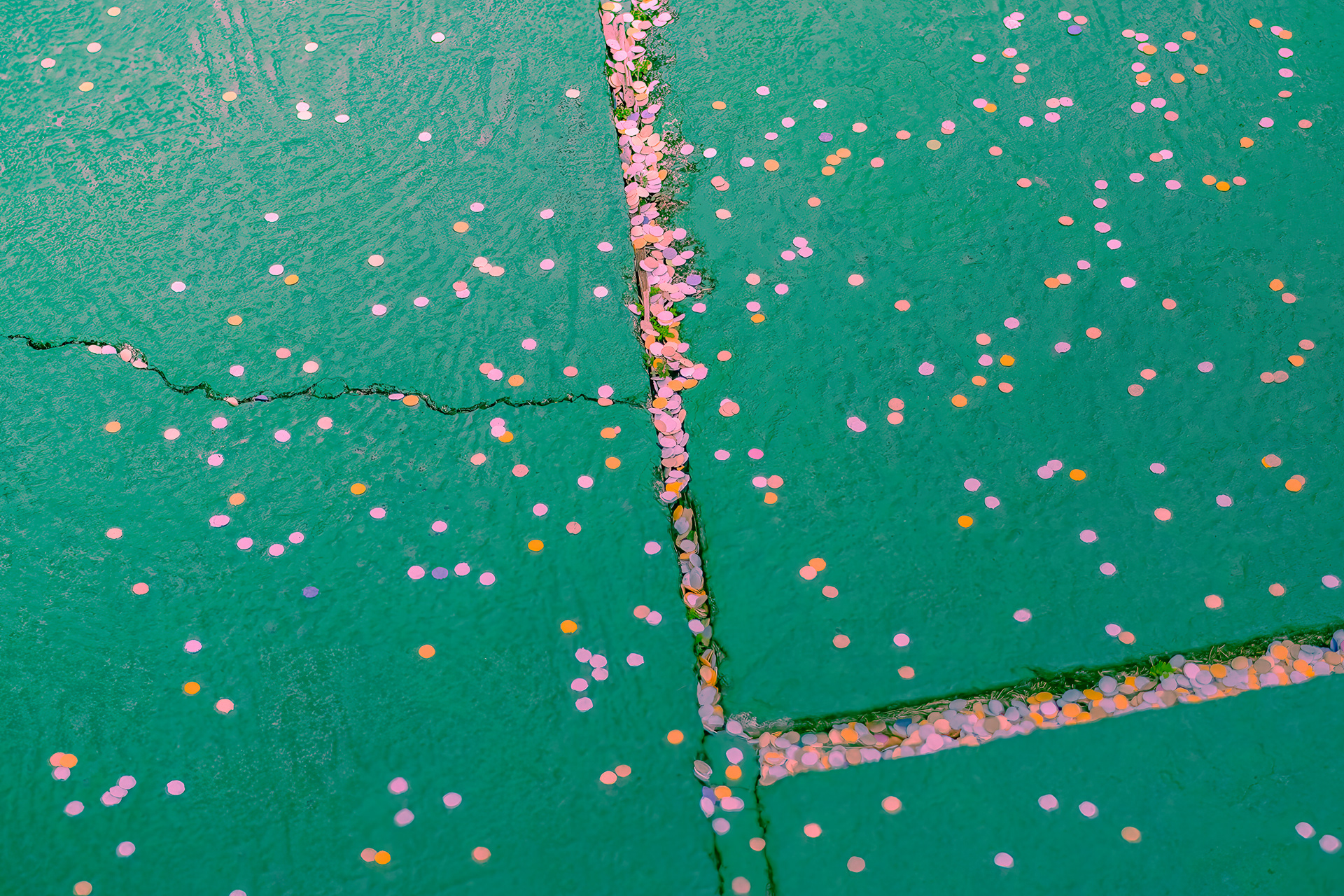 Which way now? de Carol Tinoco
