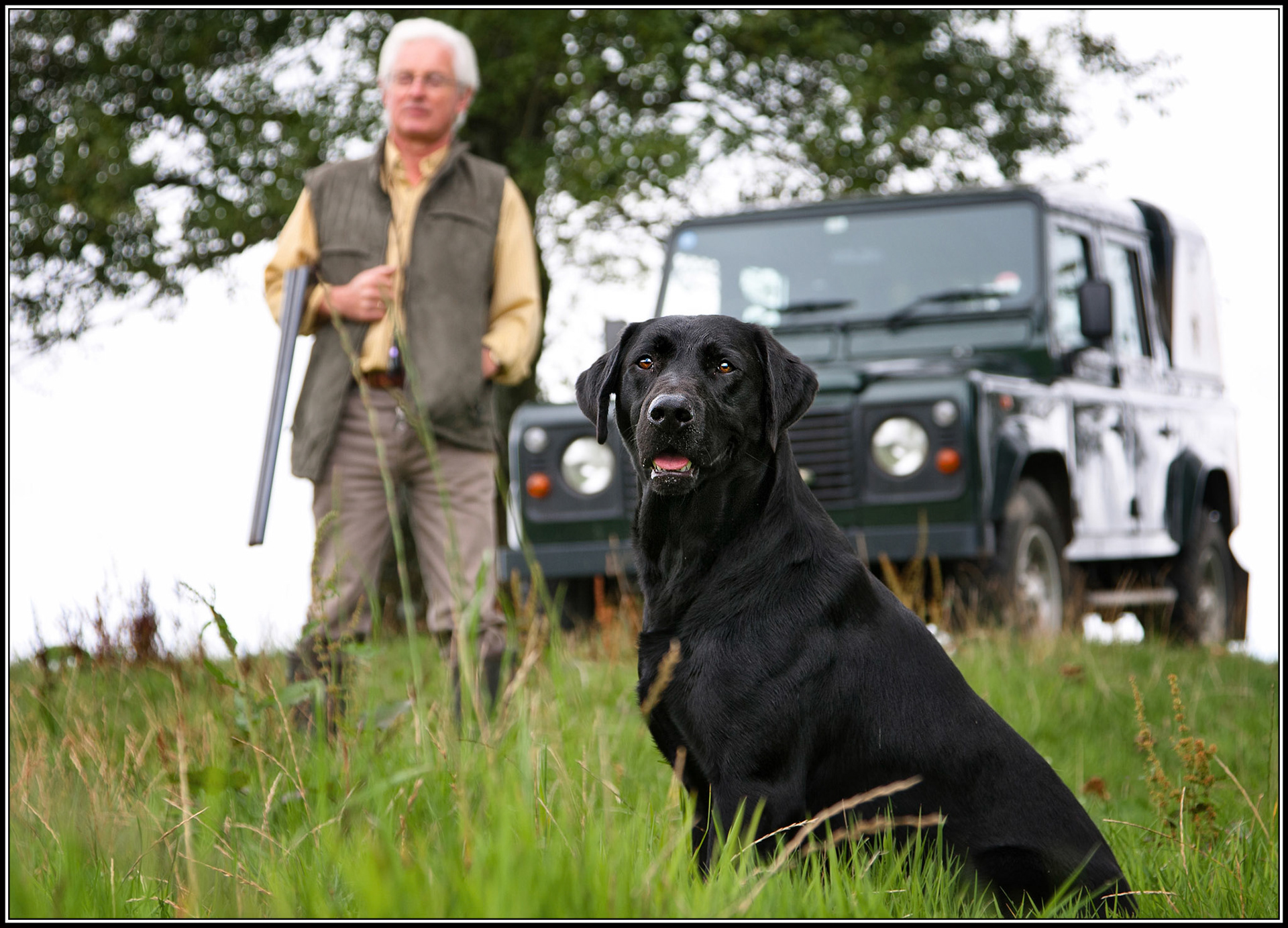 Gun Dog