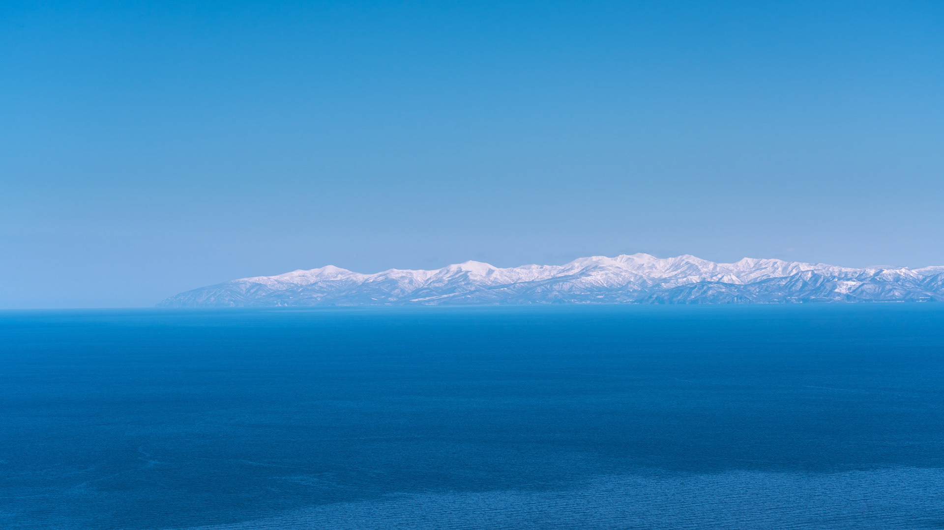 20190307-DSC02916.jpg