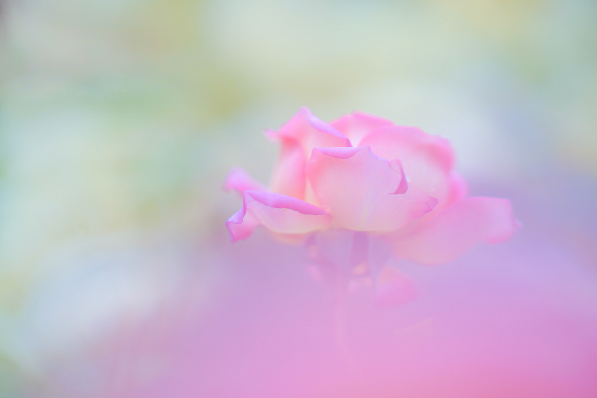 20150701-0697.jpg
