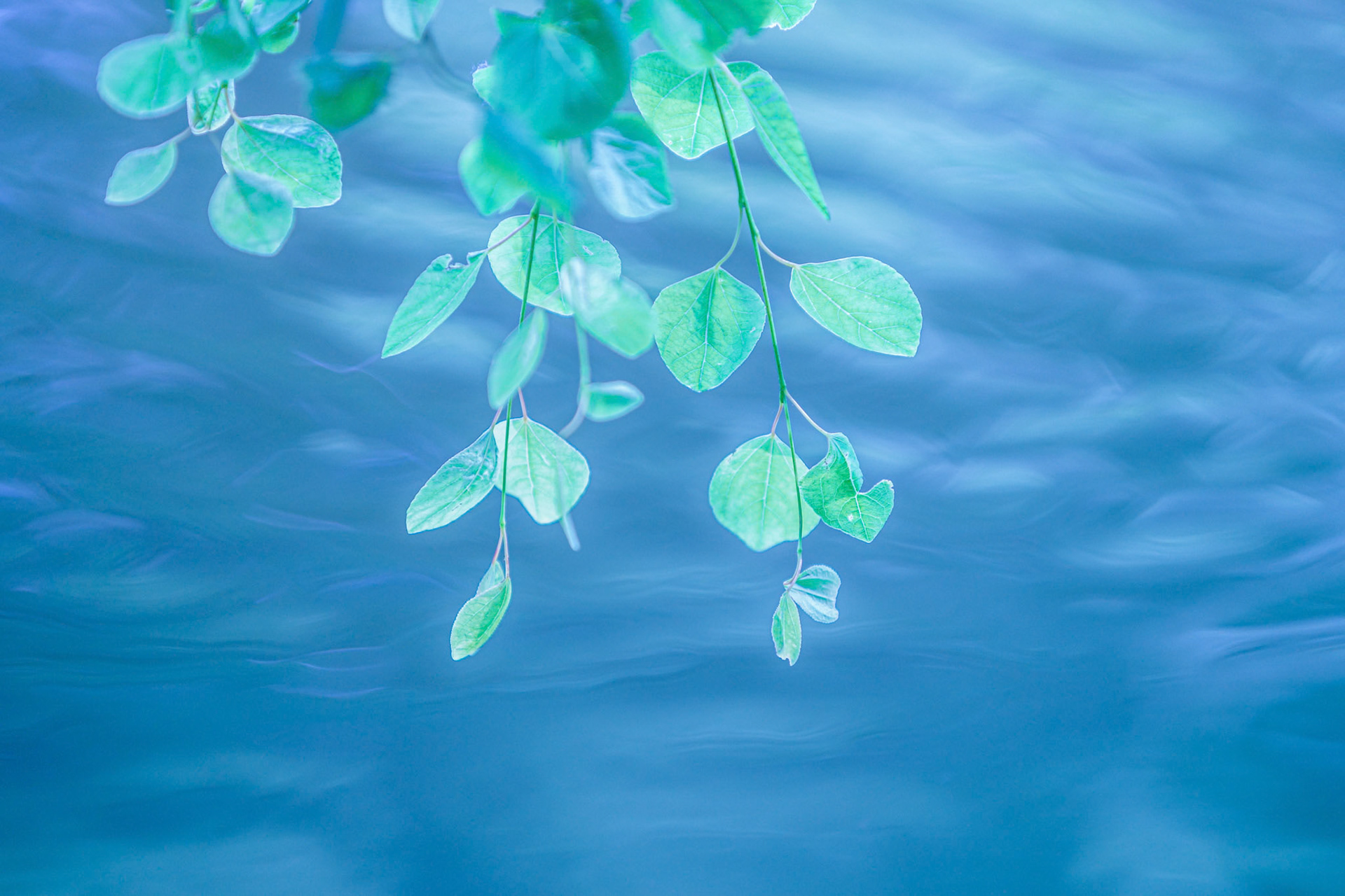 20150608-0135.jpg