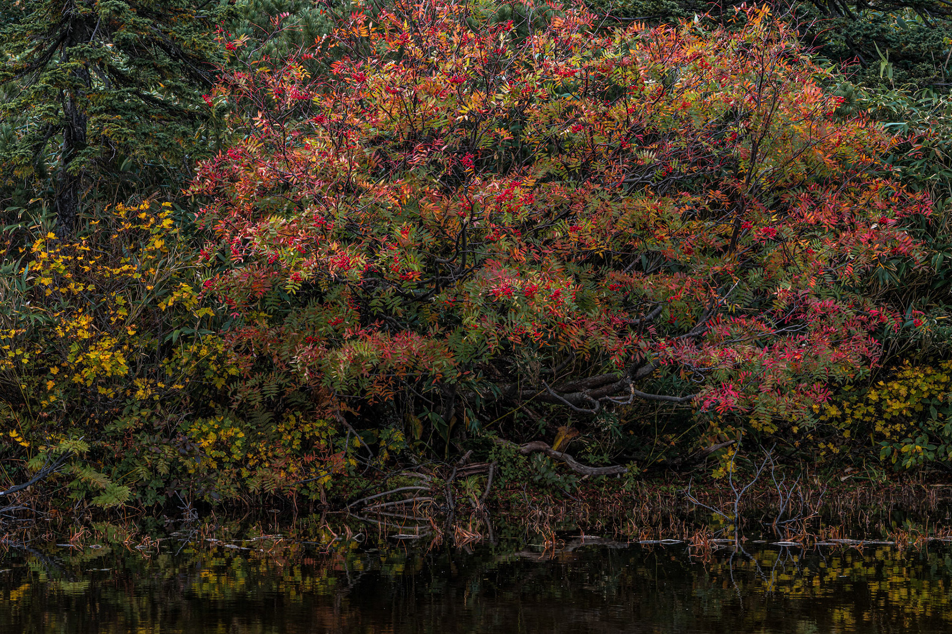 20161005-DSC08843.jpg