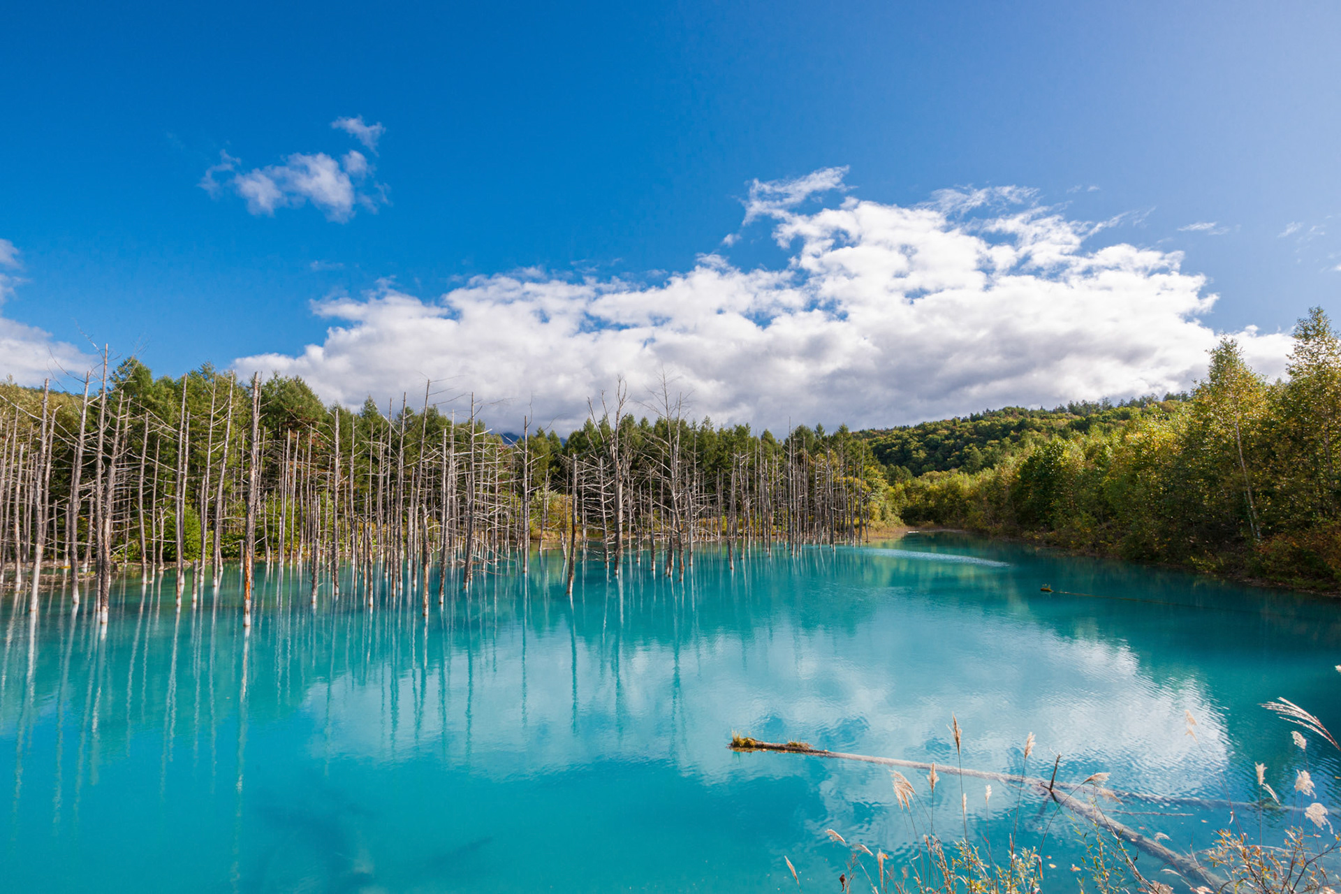 20090920-DSC00158.jpg