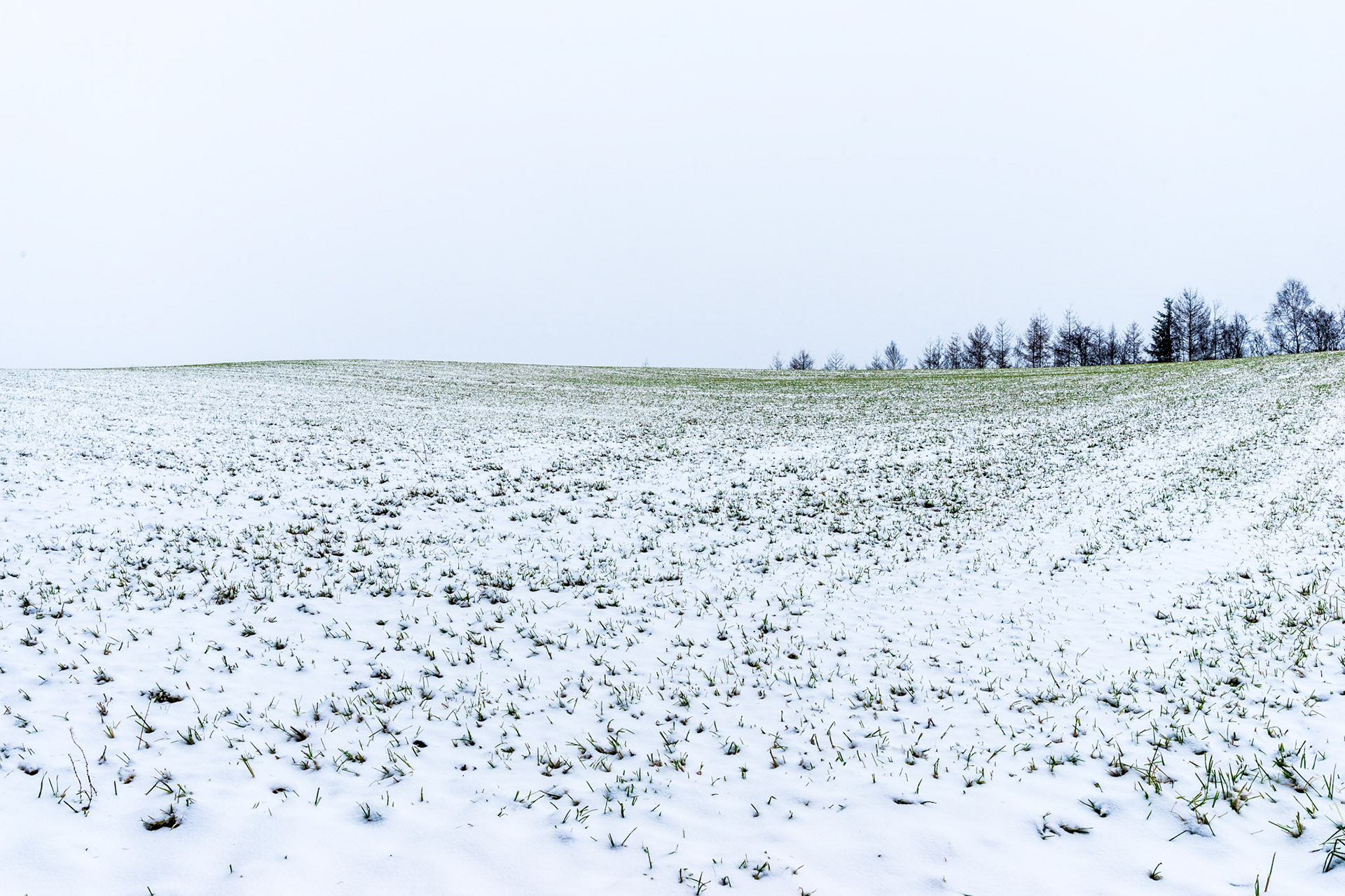 20161122-DSC01360.jpg