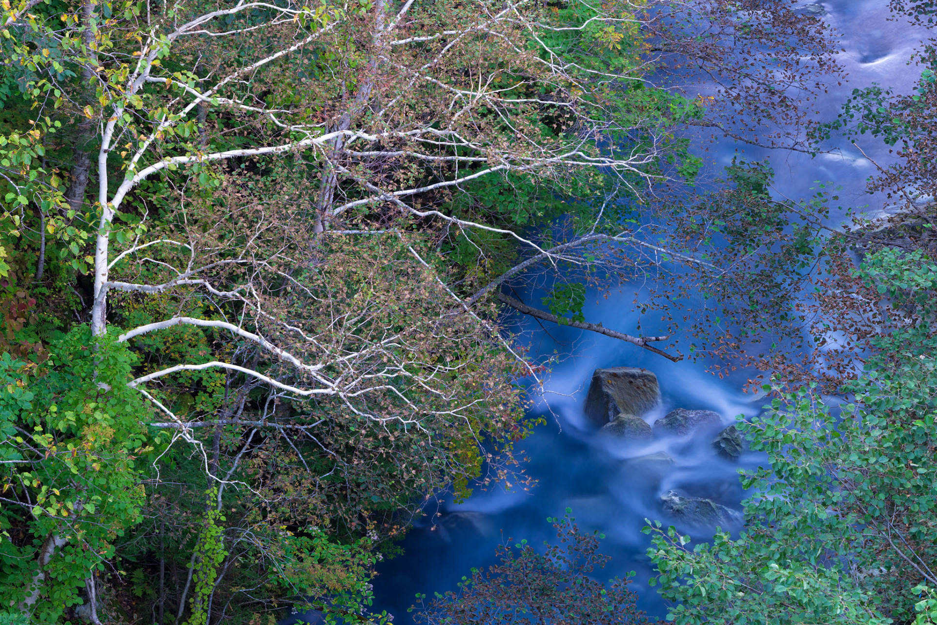 20150922-0235.jpg