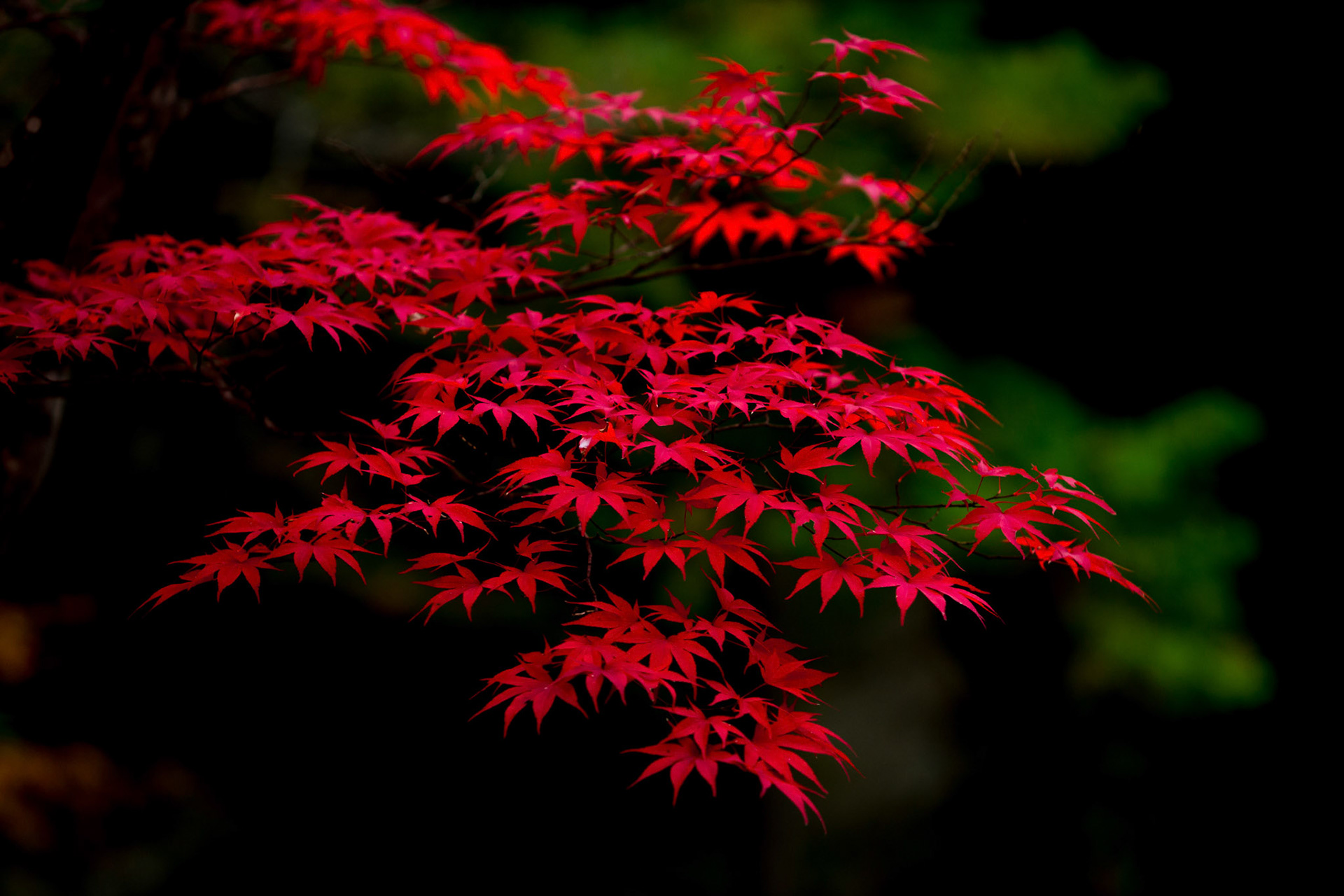 20151021-1522.jpg