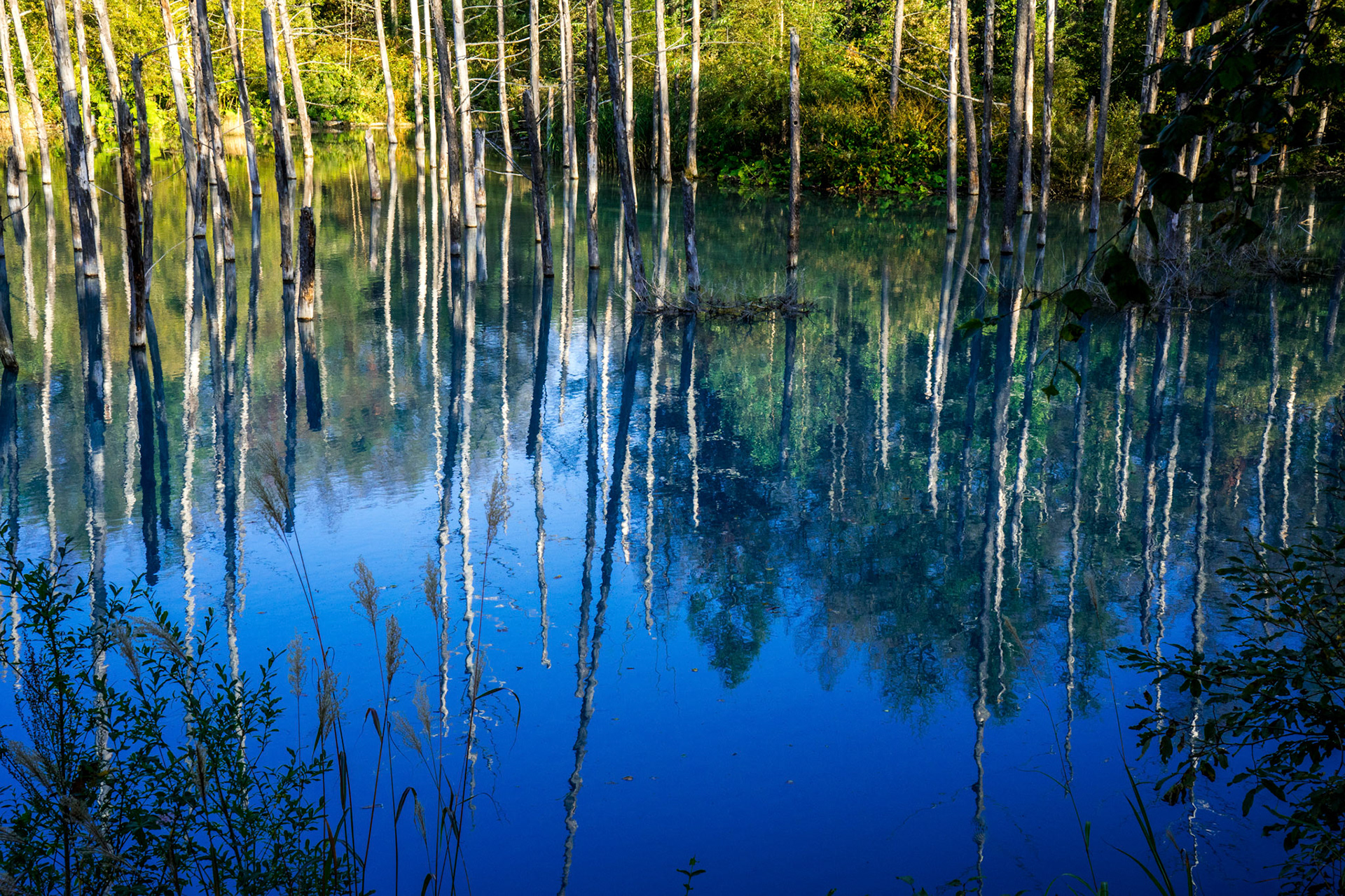20150922-0407.jpg