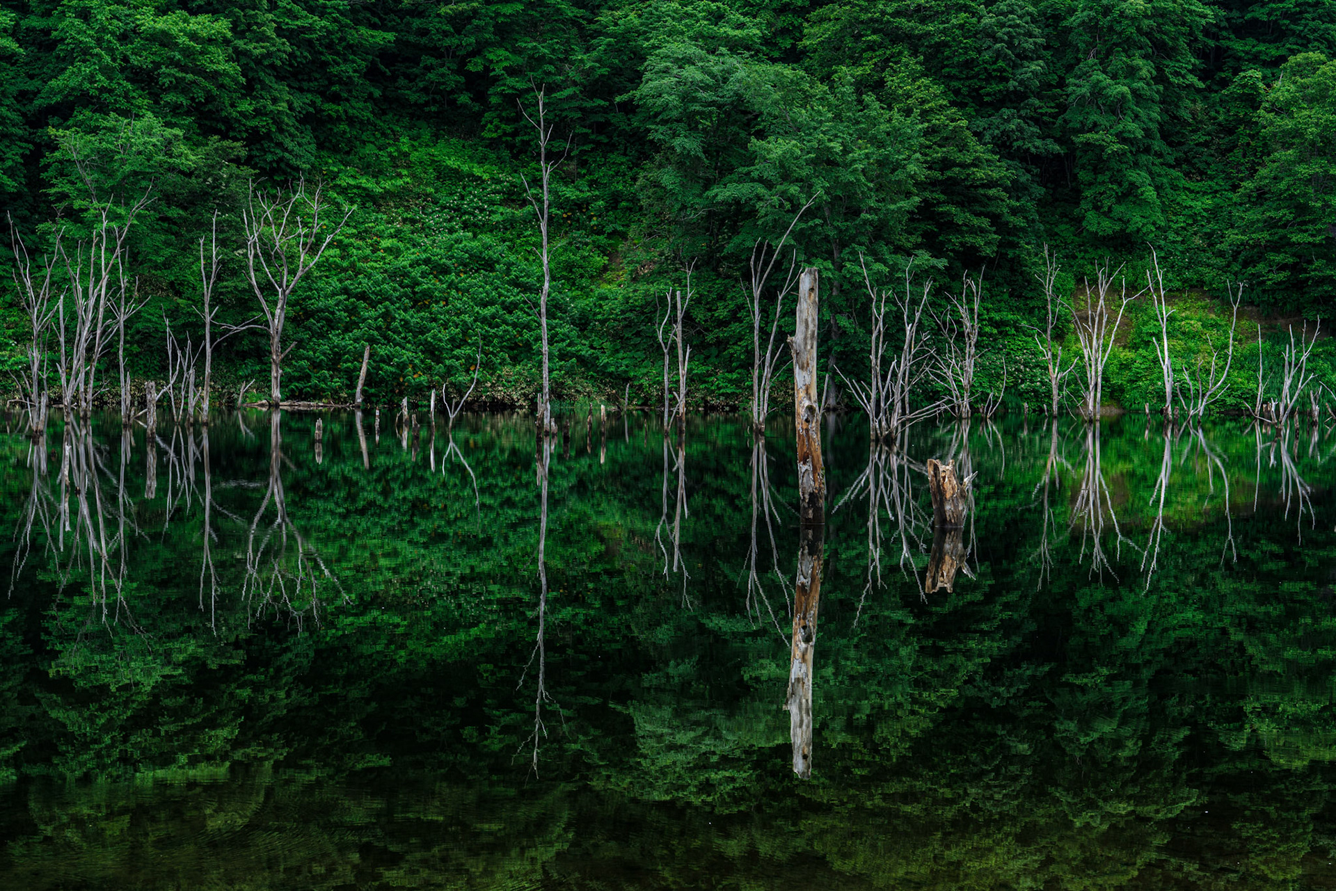 20160706-0791.jpg