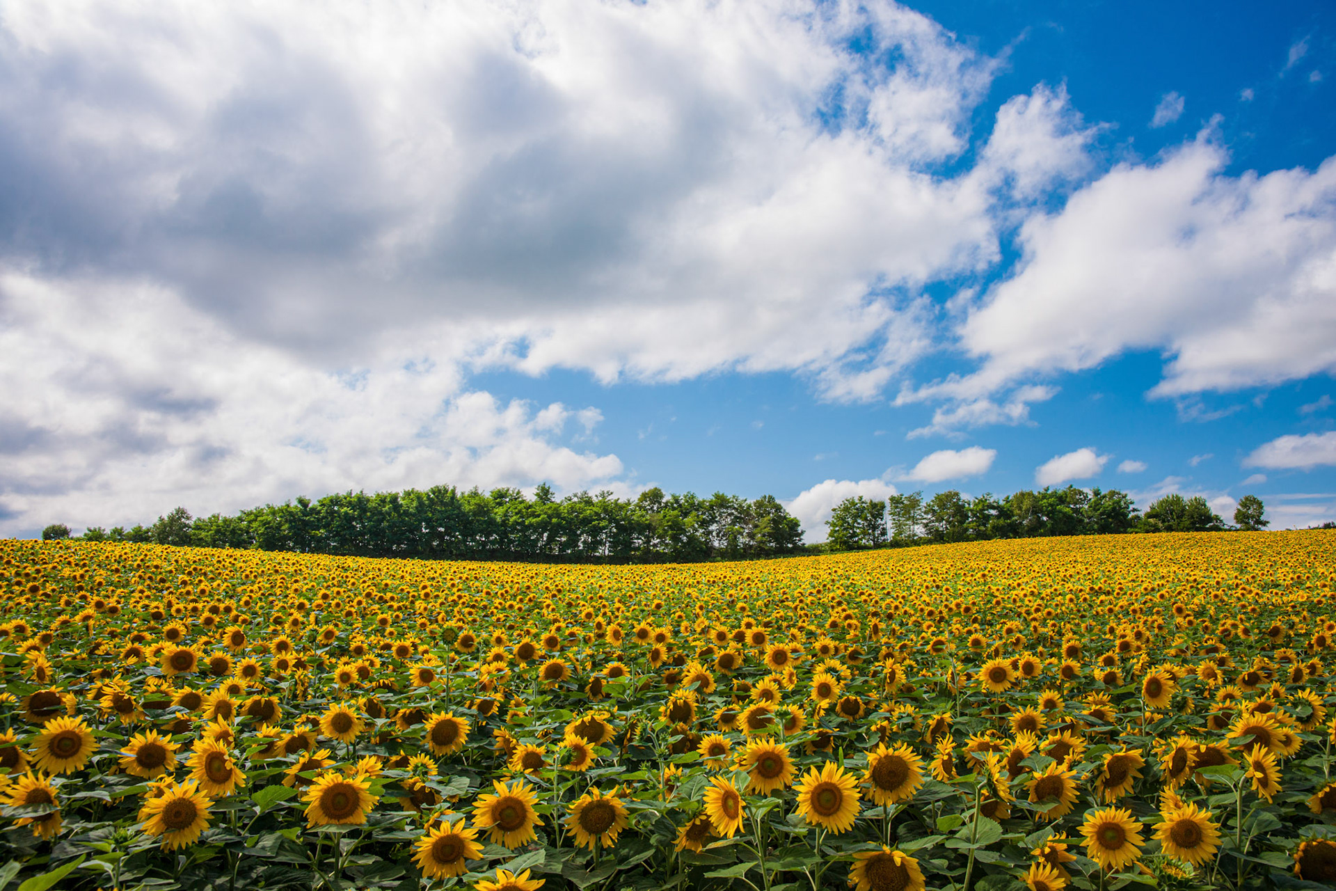 20130813-0044.jpg