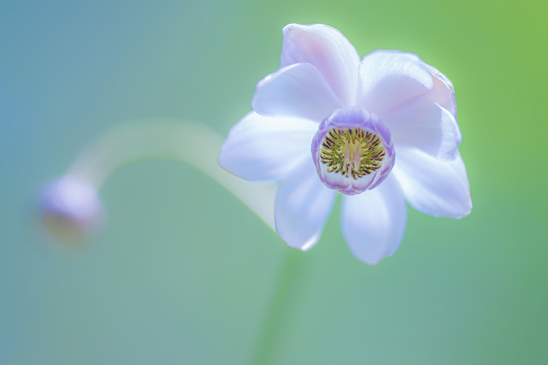 20190819-DSC08255.jpg