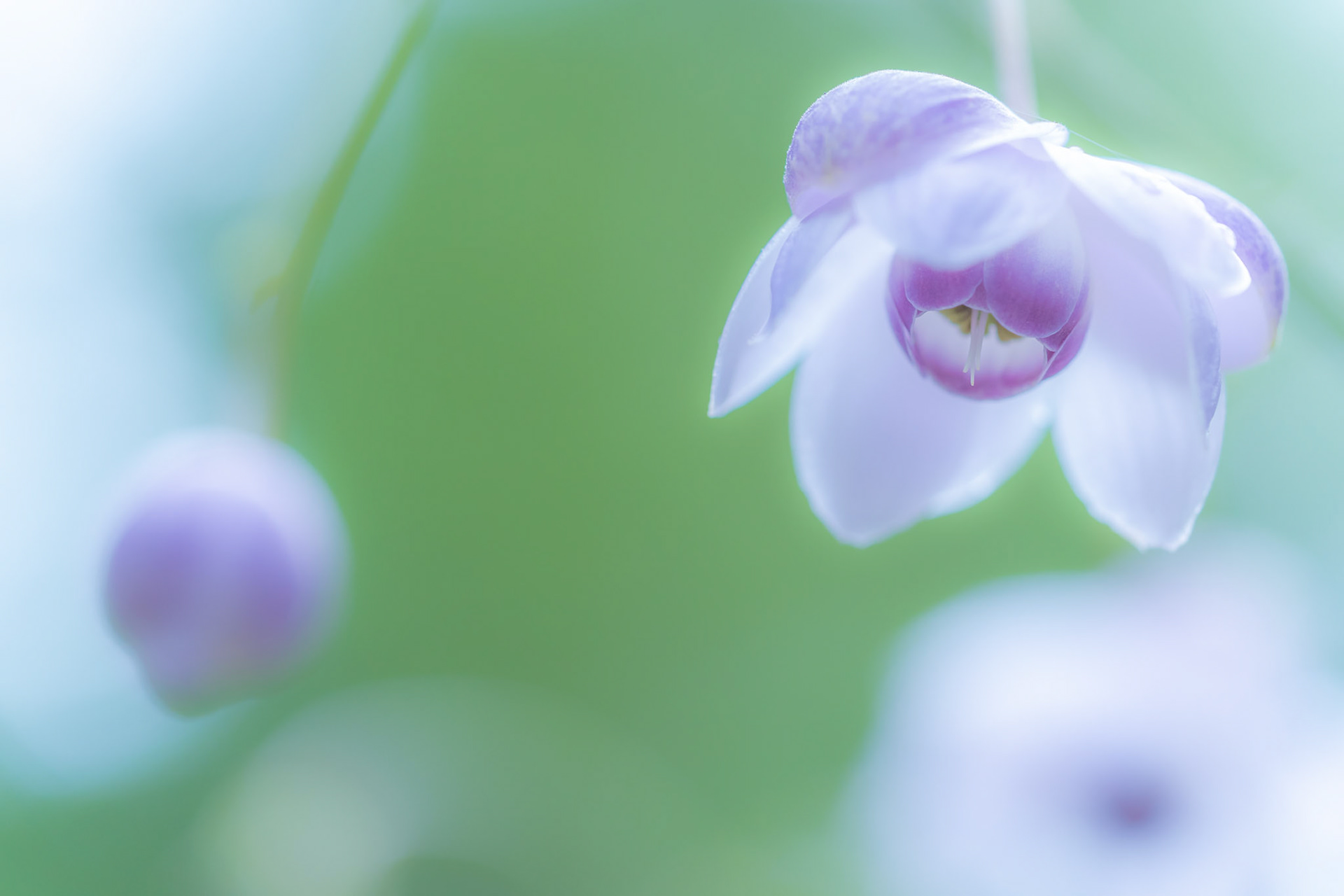 20180828-DSC09666.jpg