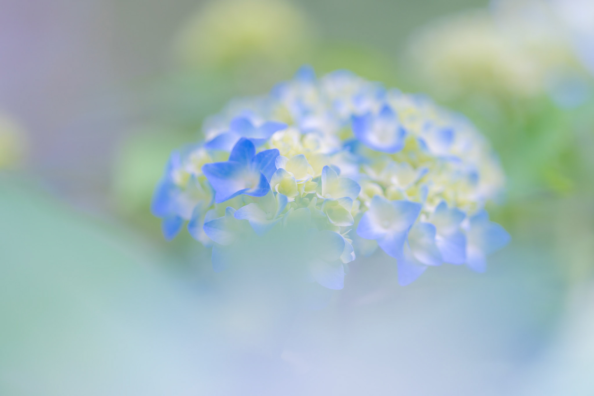 20200630-DSC01053.jpg