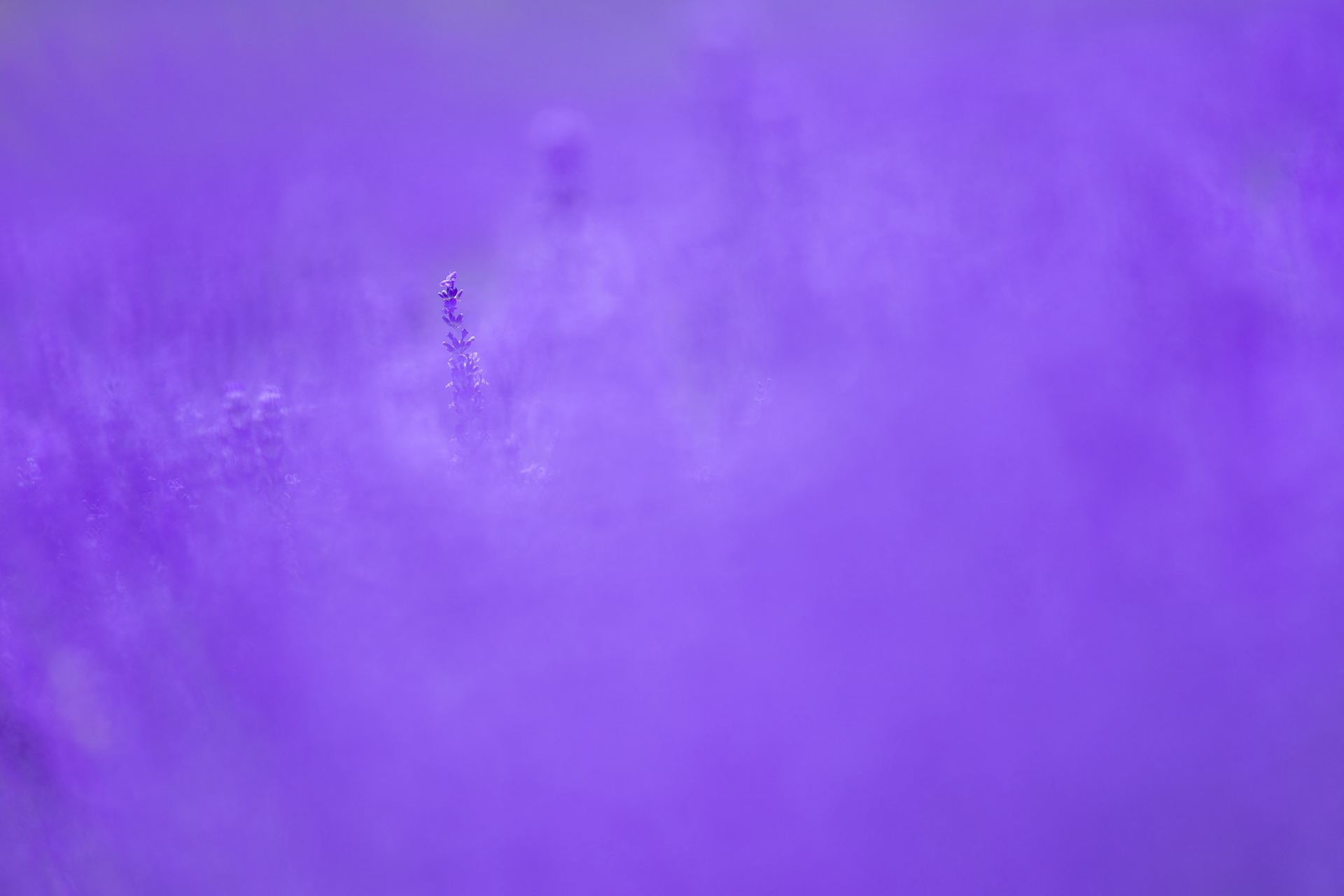 20150716-1016.jpg