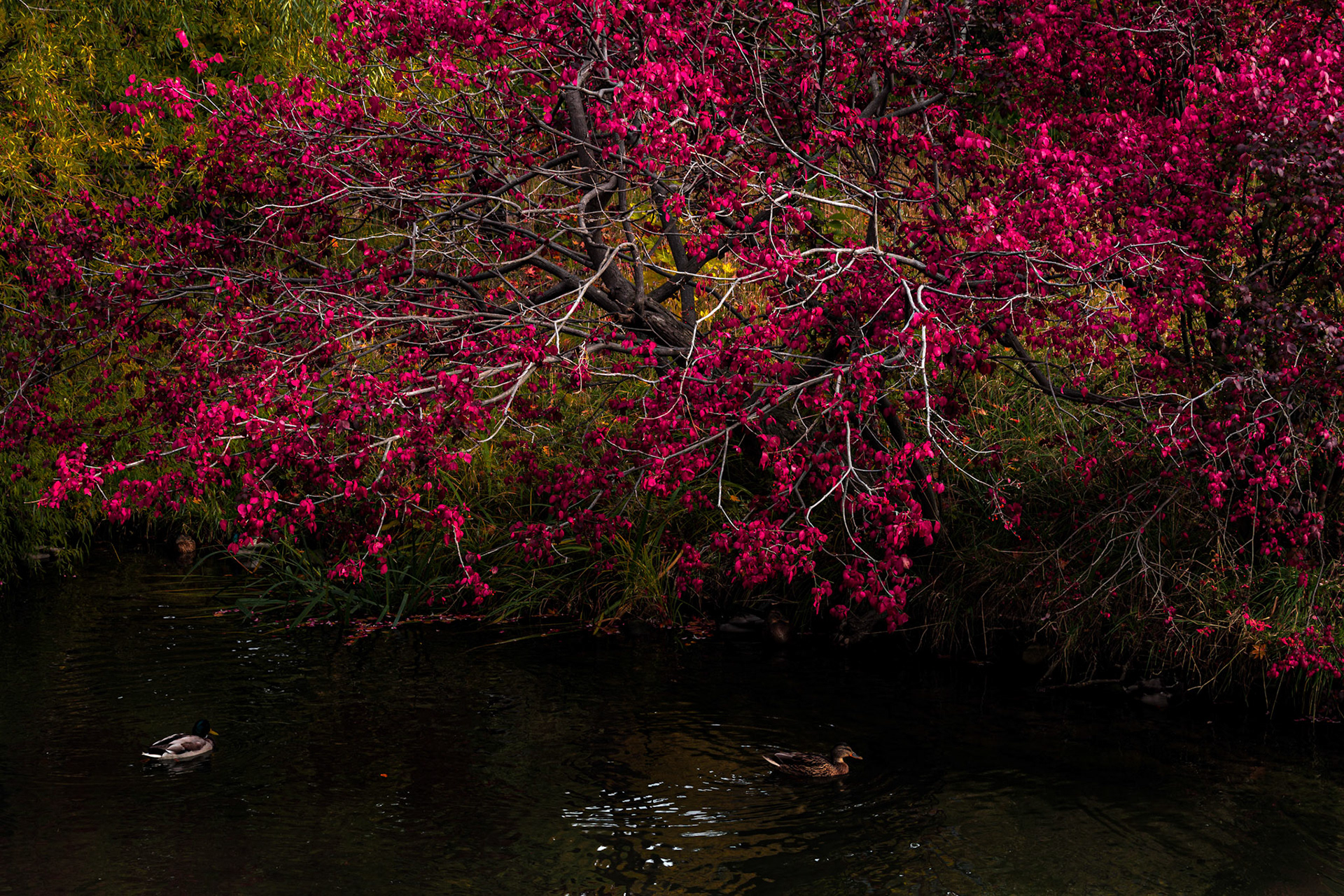 20151018-1236.jpg