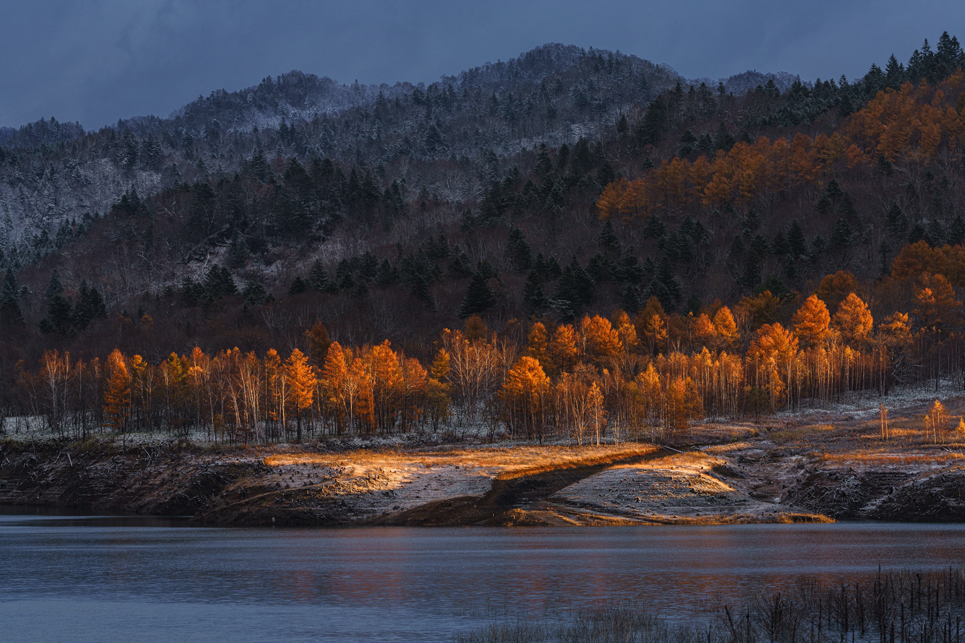 20201104-DSC07368.jpg