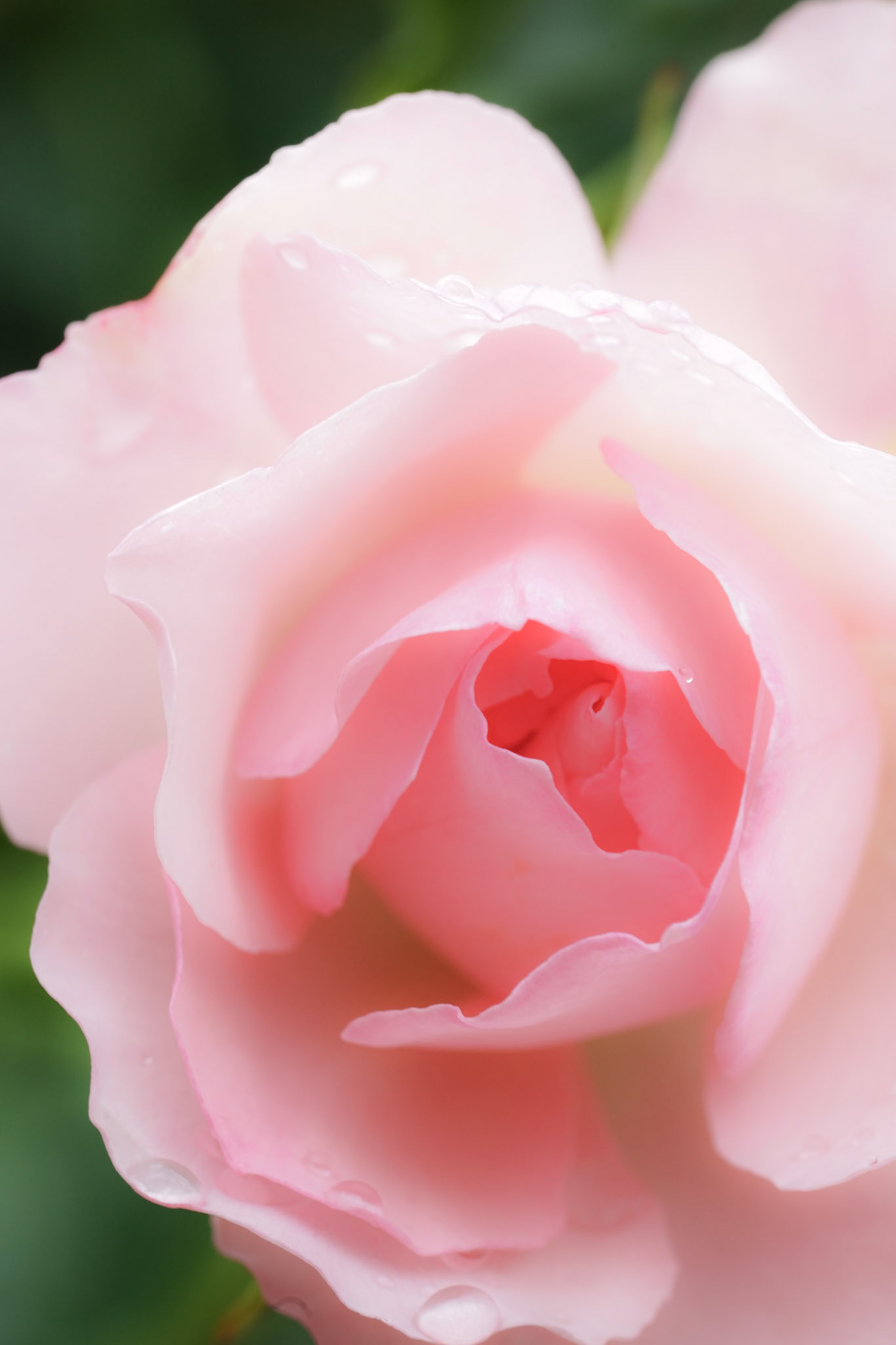 20150630-0434.jpg