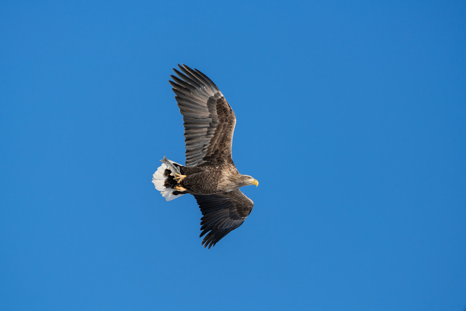 20160503-2938.jpg