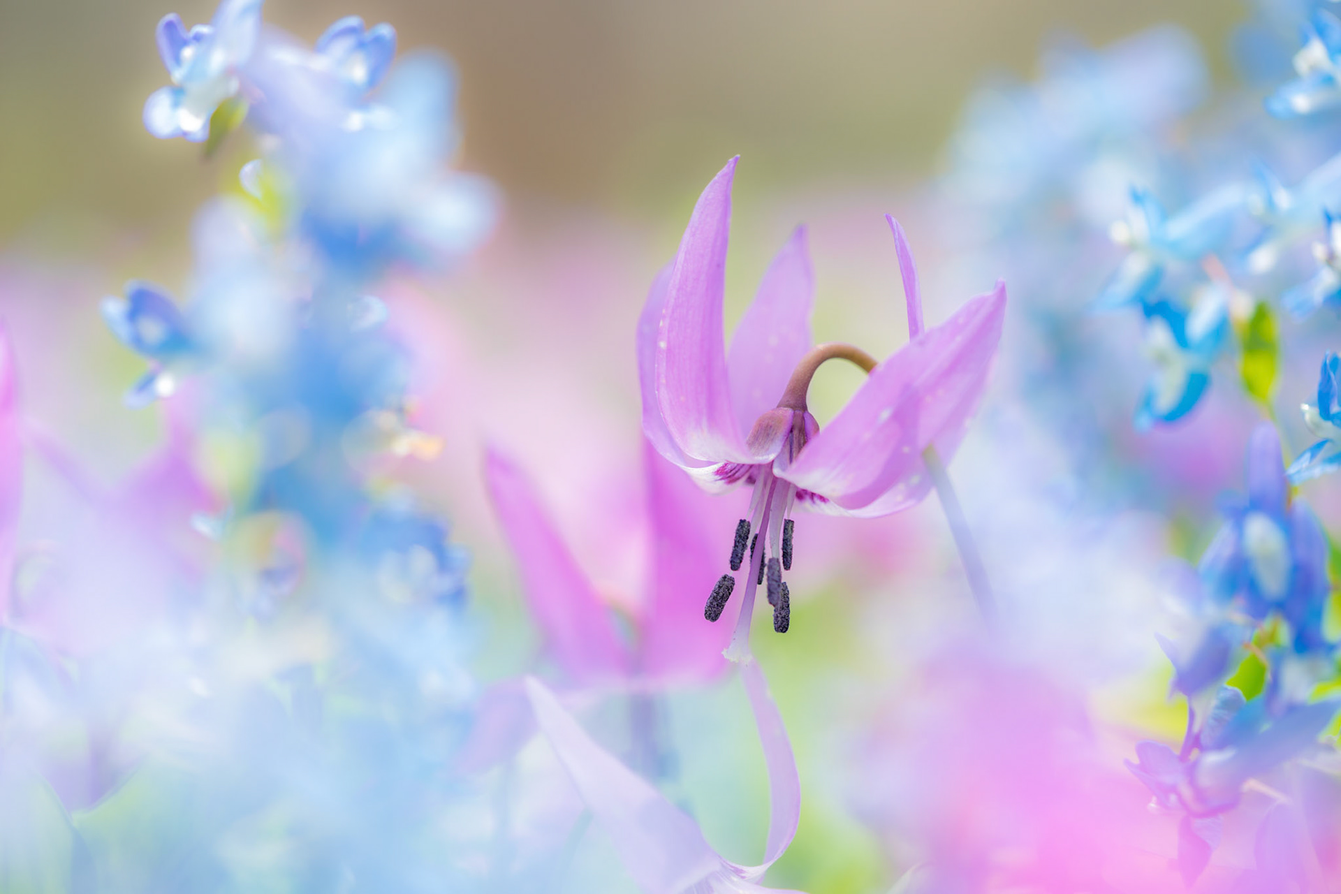 20160425-3157.jpg