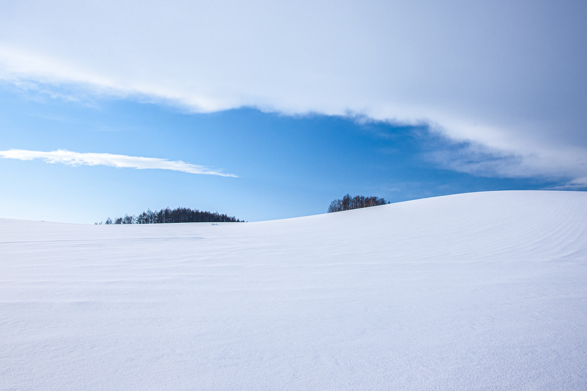 20110130-2165.jpg
