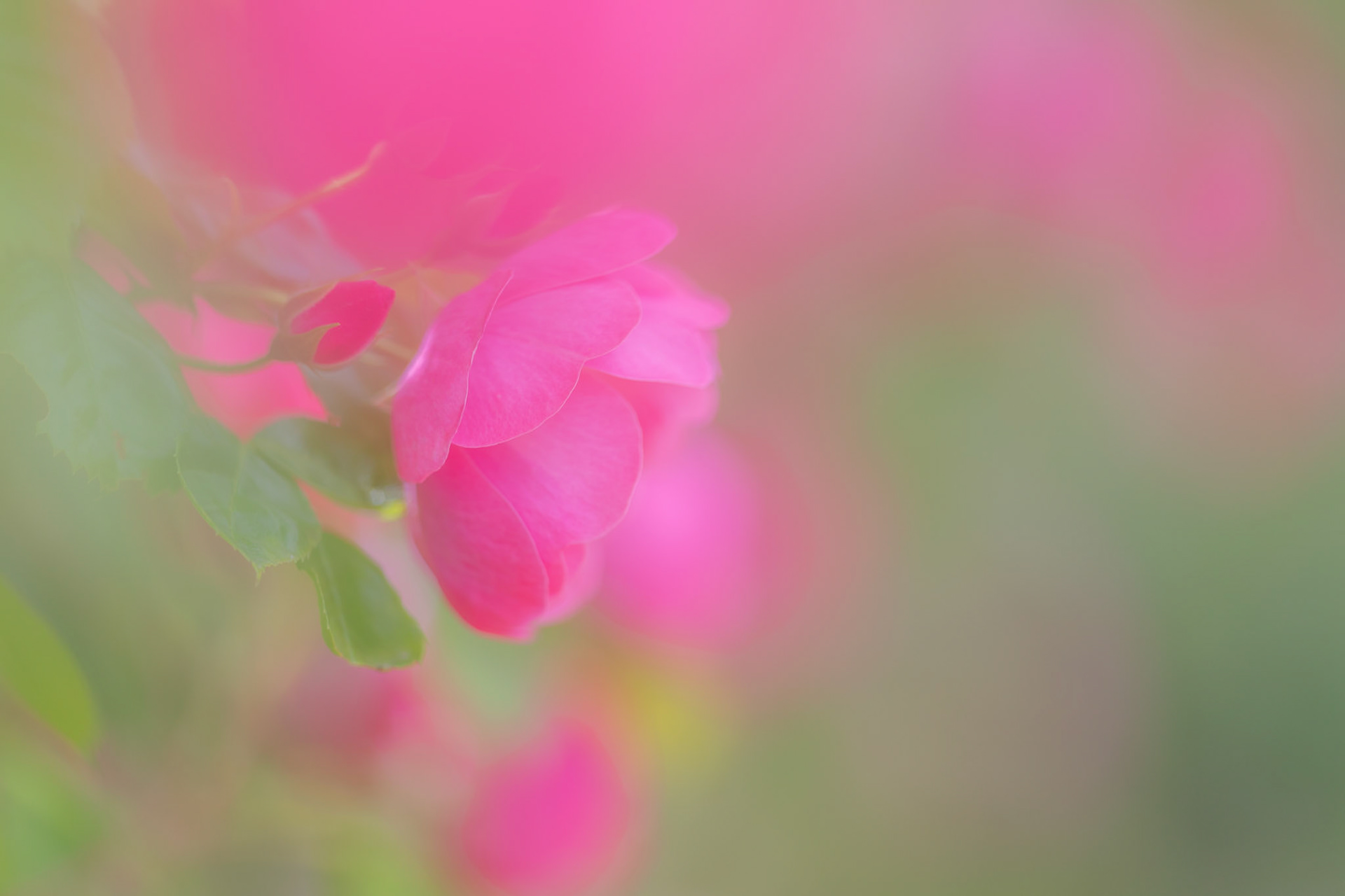 20200630-DSC01336.jpg