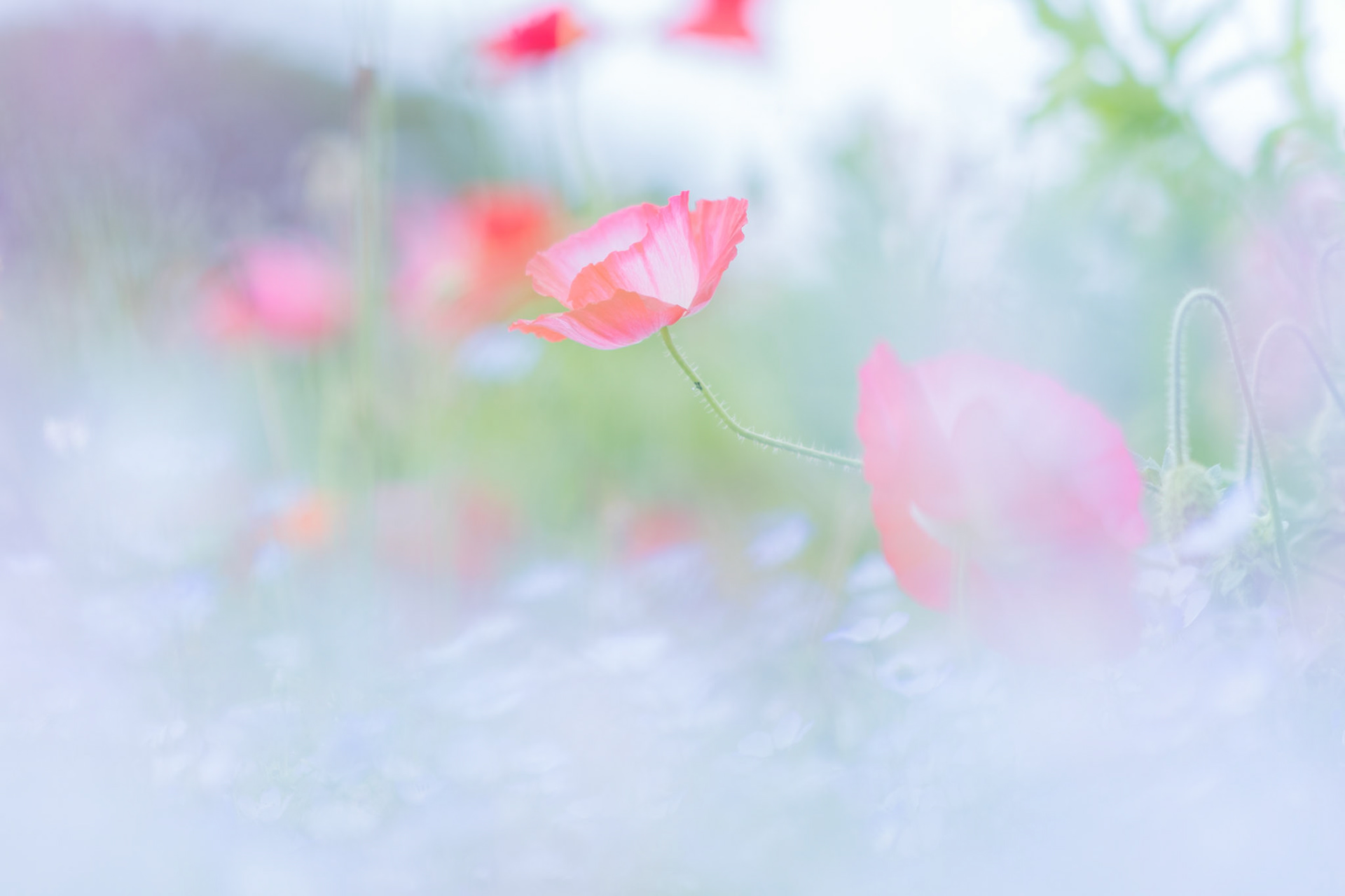 20220515-DSC00233.jpg