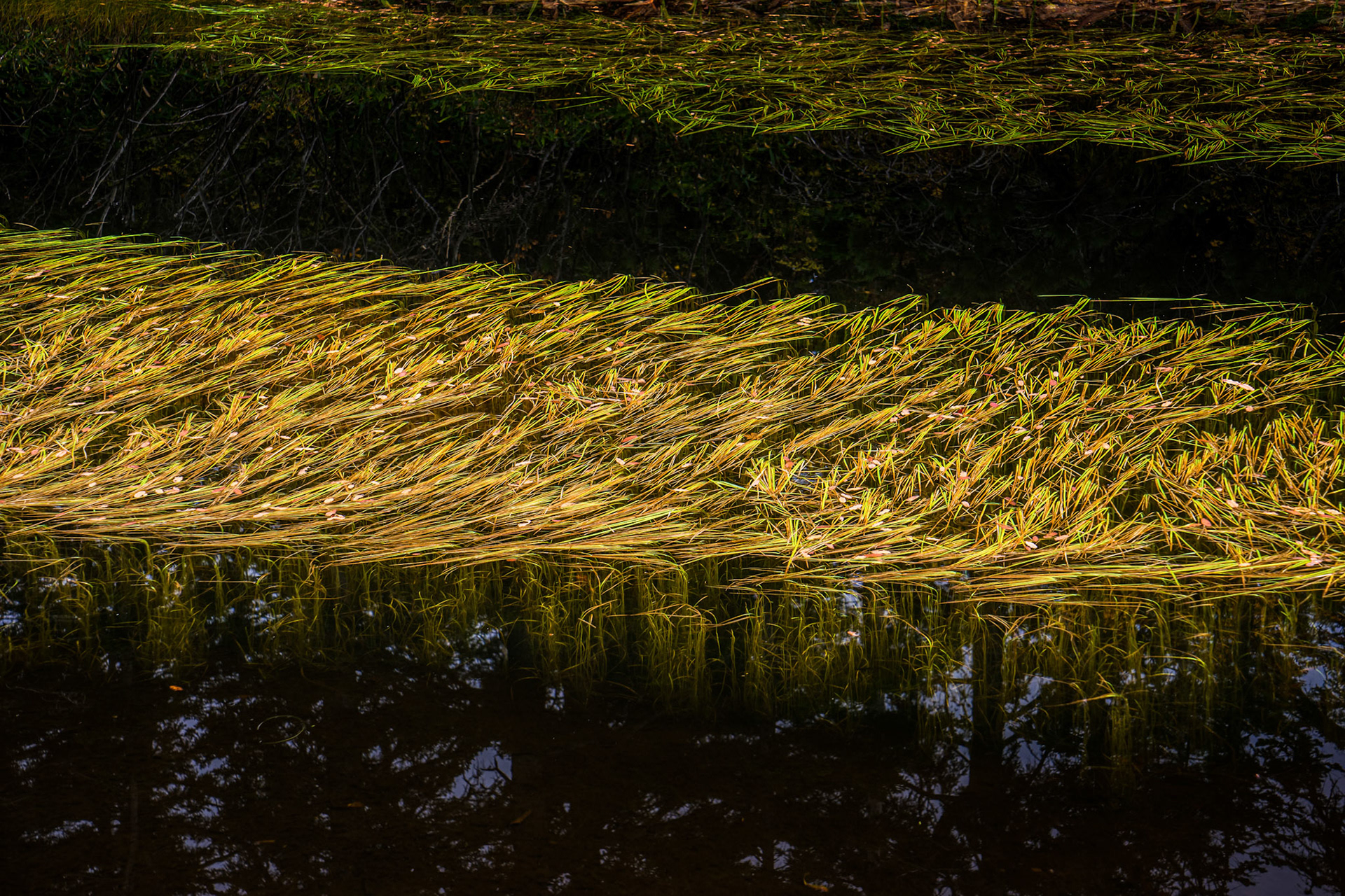 20150925-1304.jpg