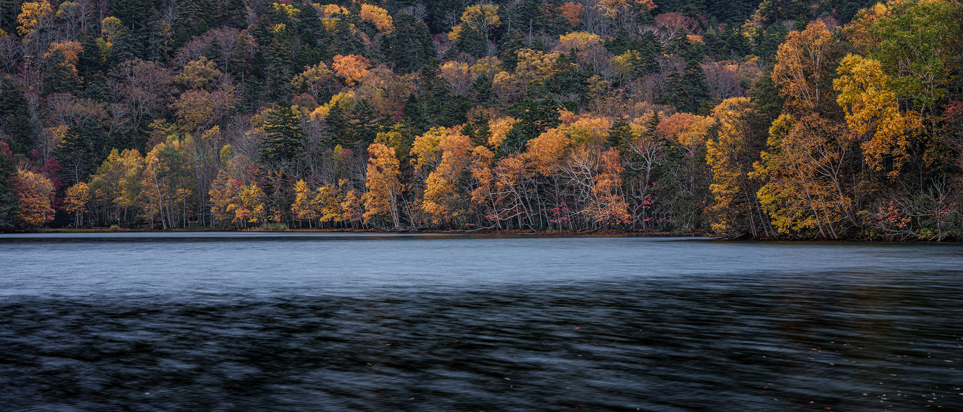 20211015-DSC00510.jpg