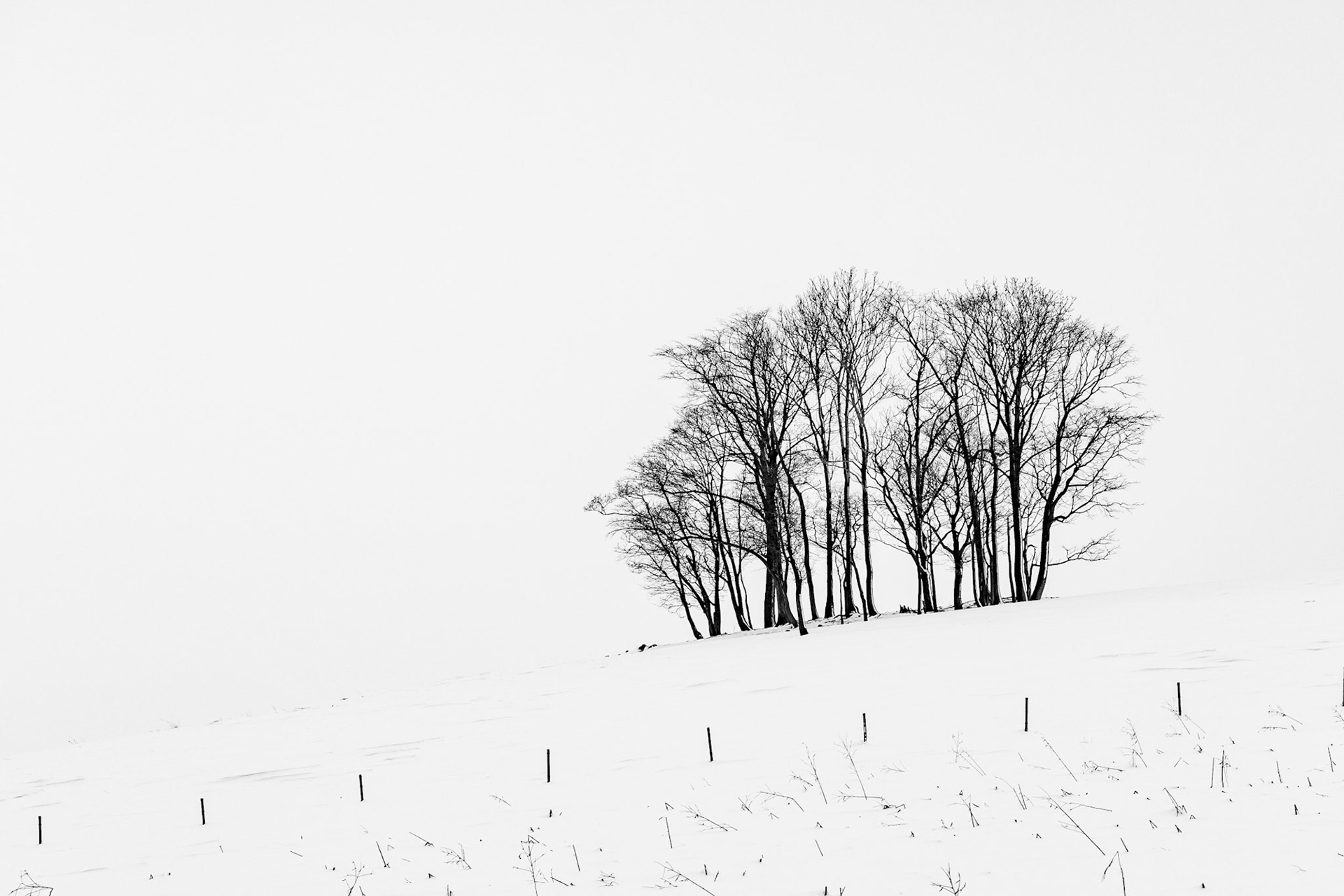 20091230-0070.jpg