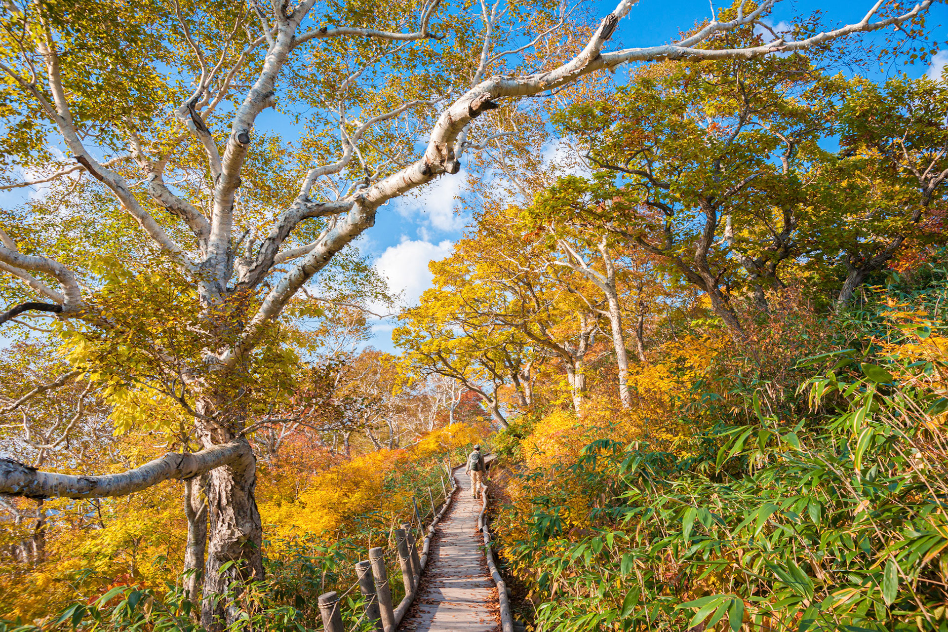20111008-0867-2.jpg