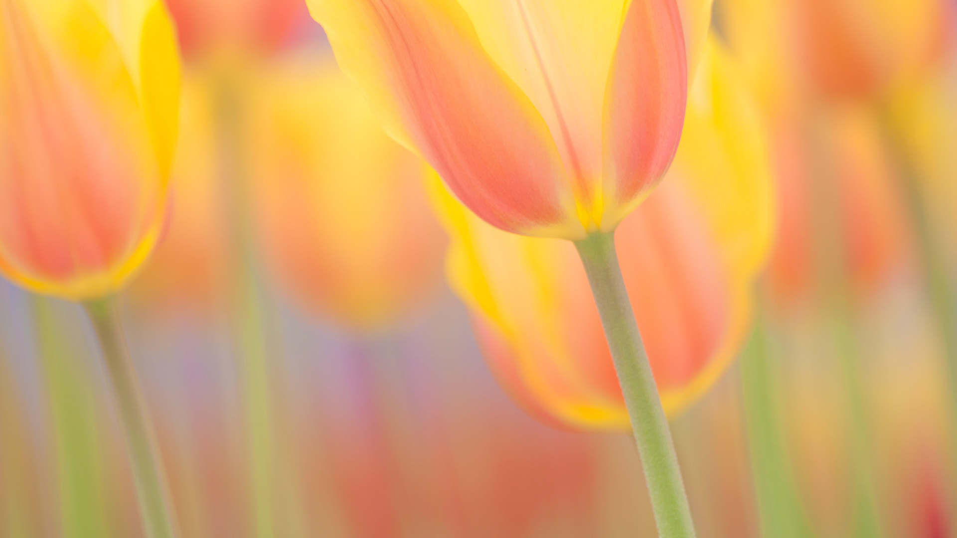 20150508-6174.jpg