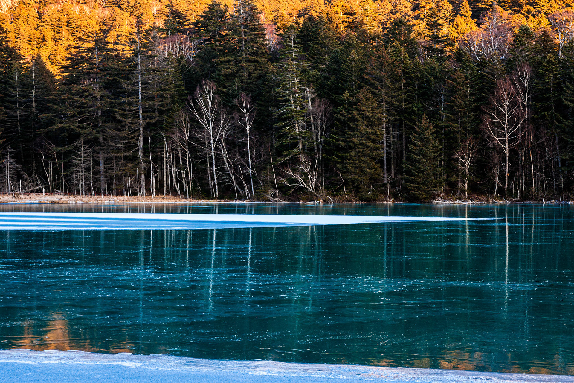 20111202-1157-2.jpg