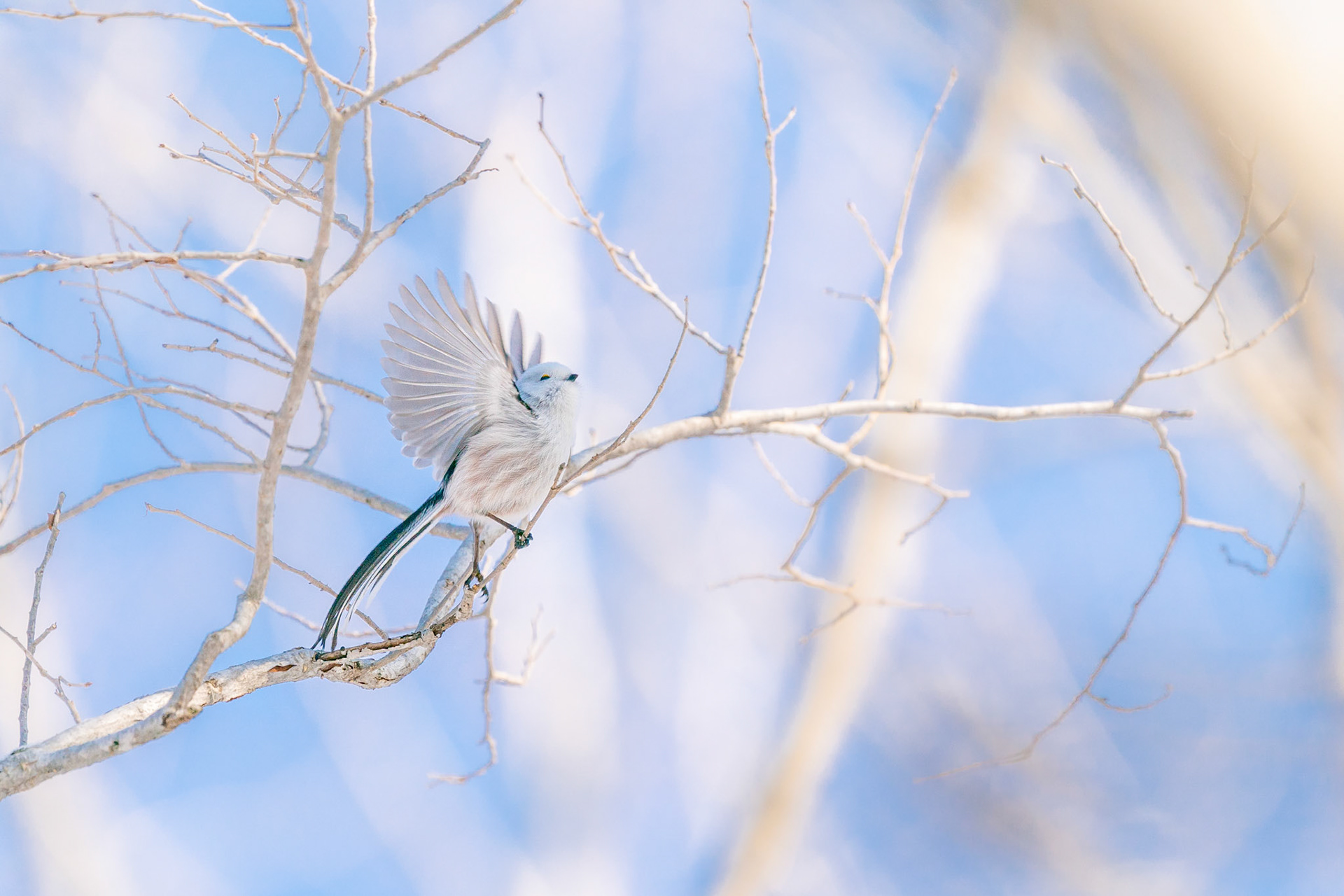 20190129-DSC06830.jpg
