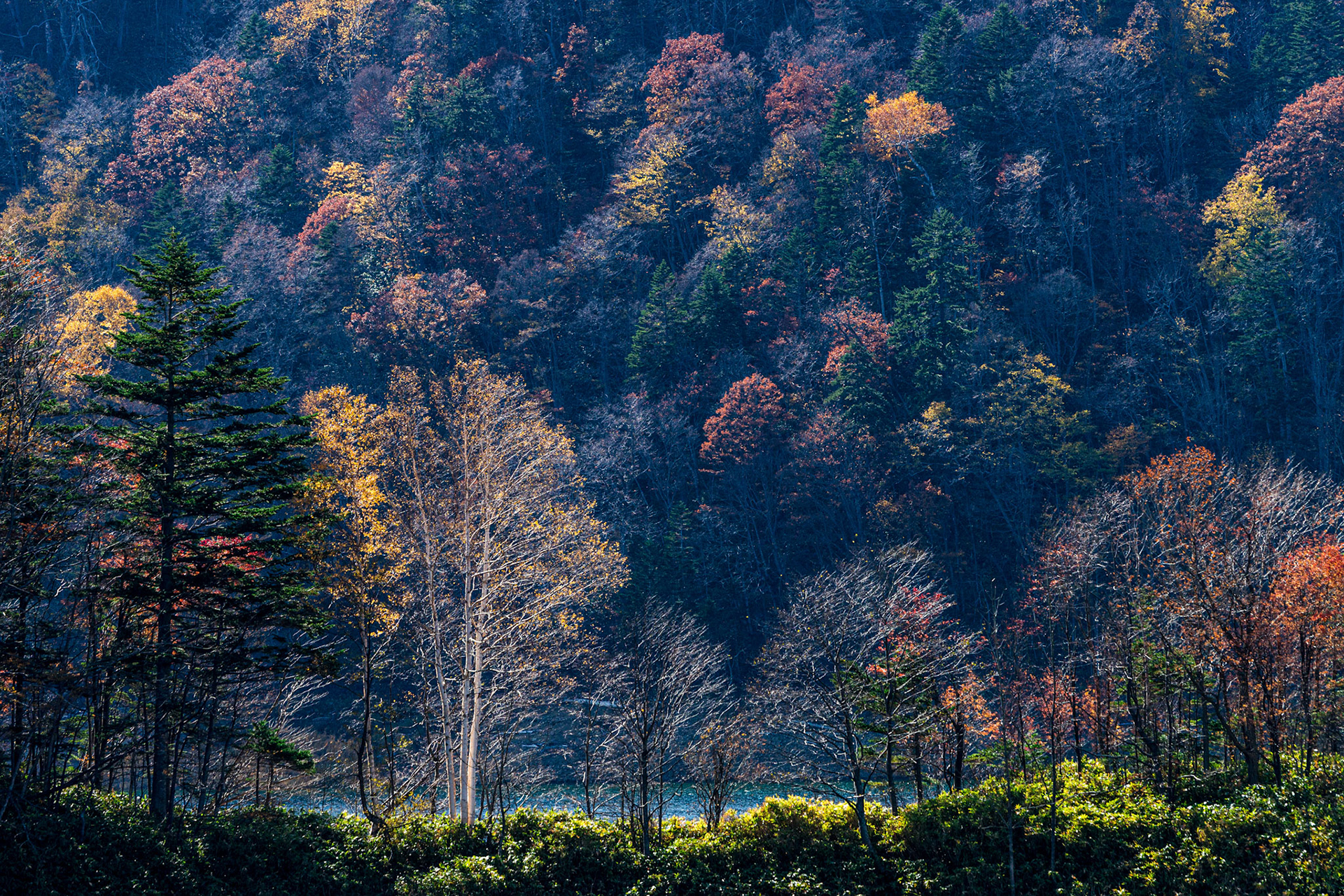 20151021-1446.jpg