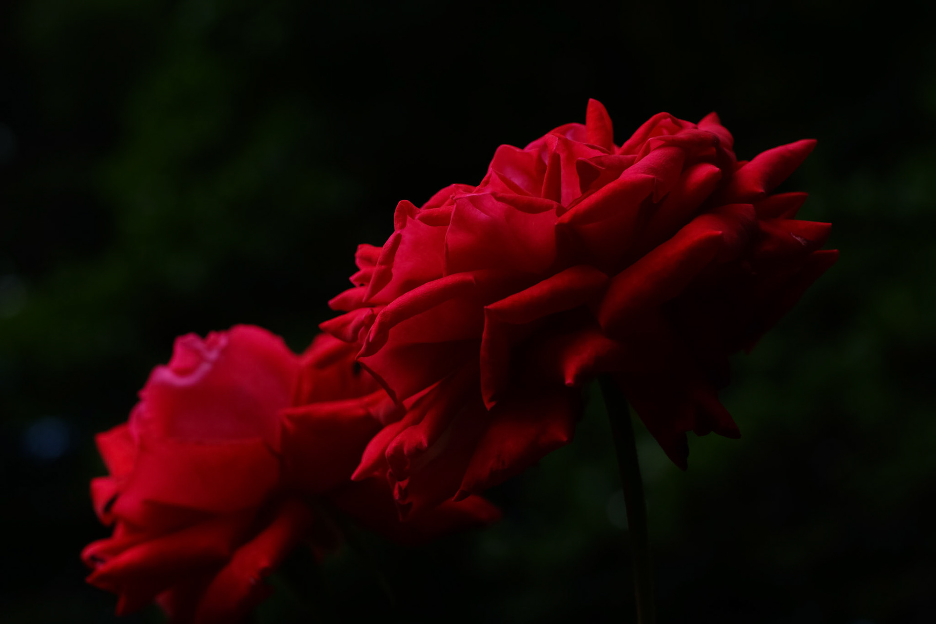 20140828-0356.jpg