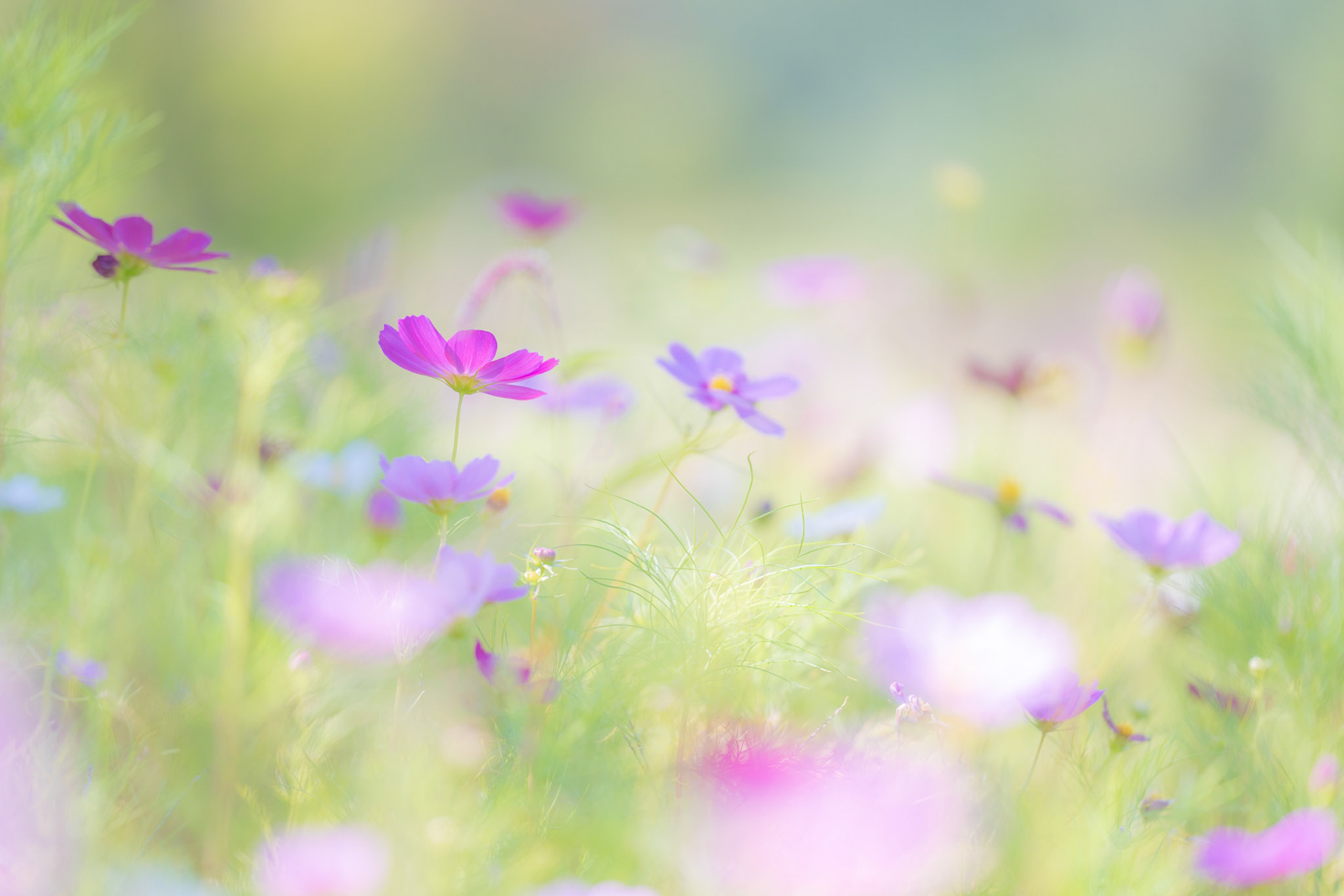 20190903-DSC06944.jpg