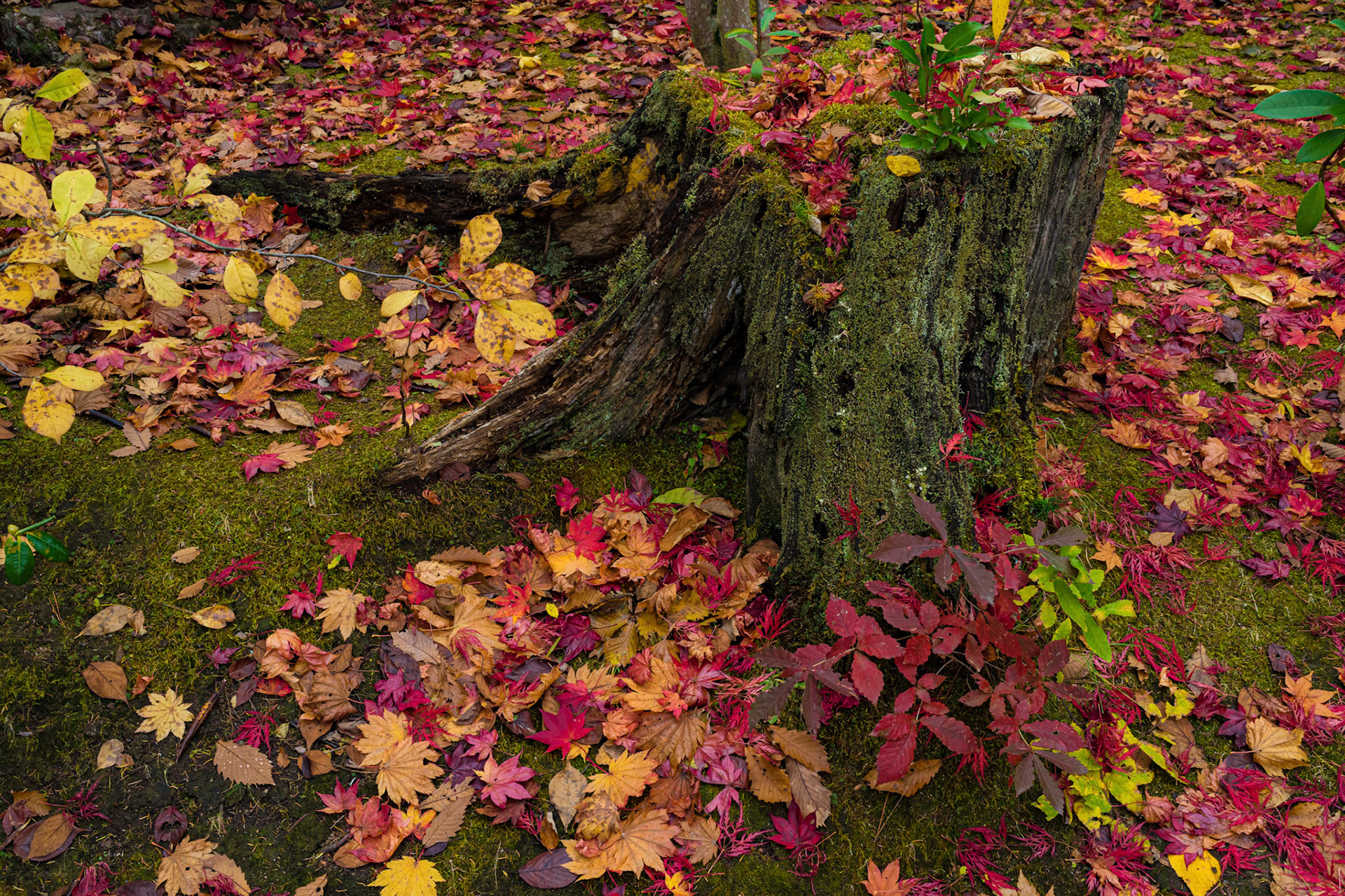 20151021-1929.jpg