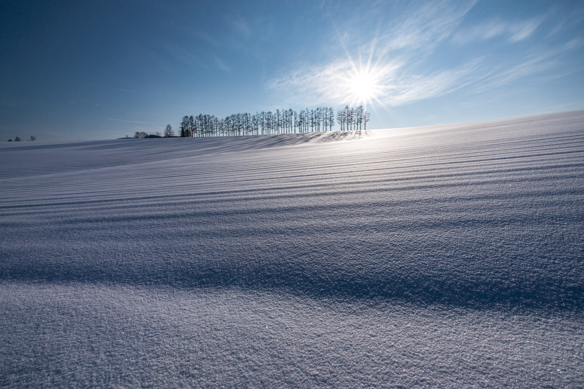 20150101-5555.jpg