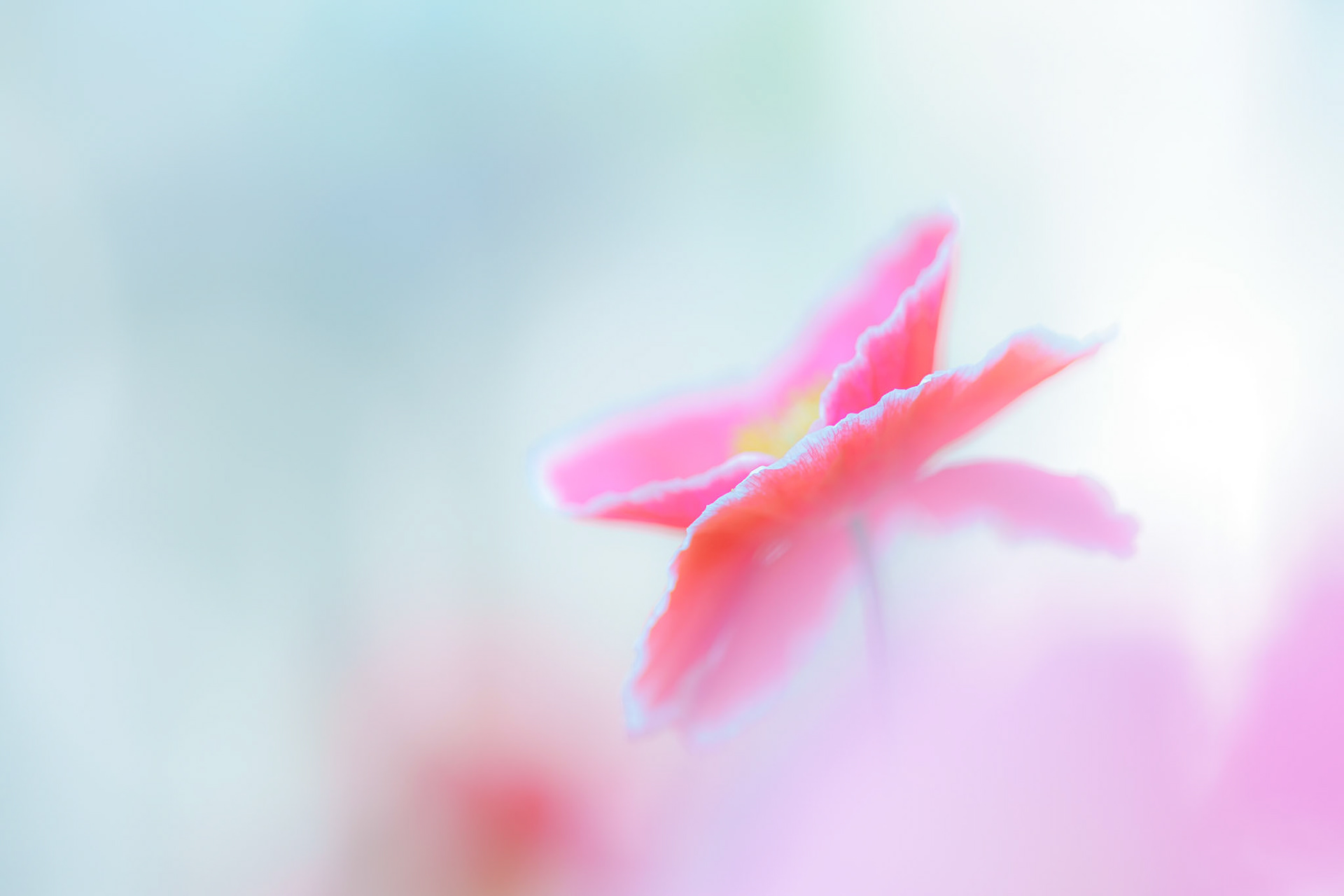 20210714-DSC00279.jpg