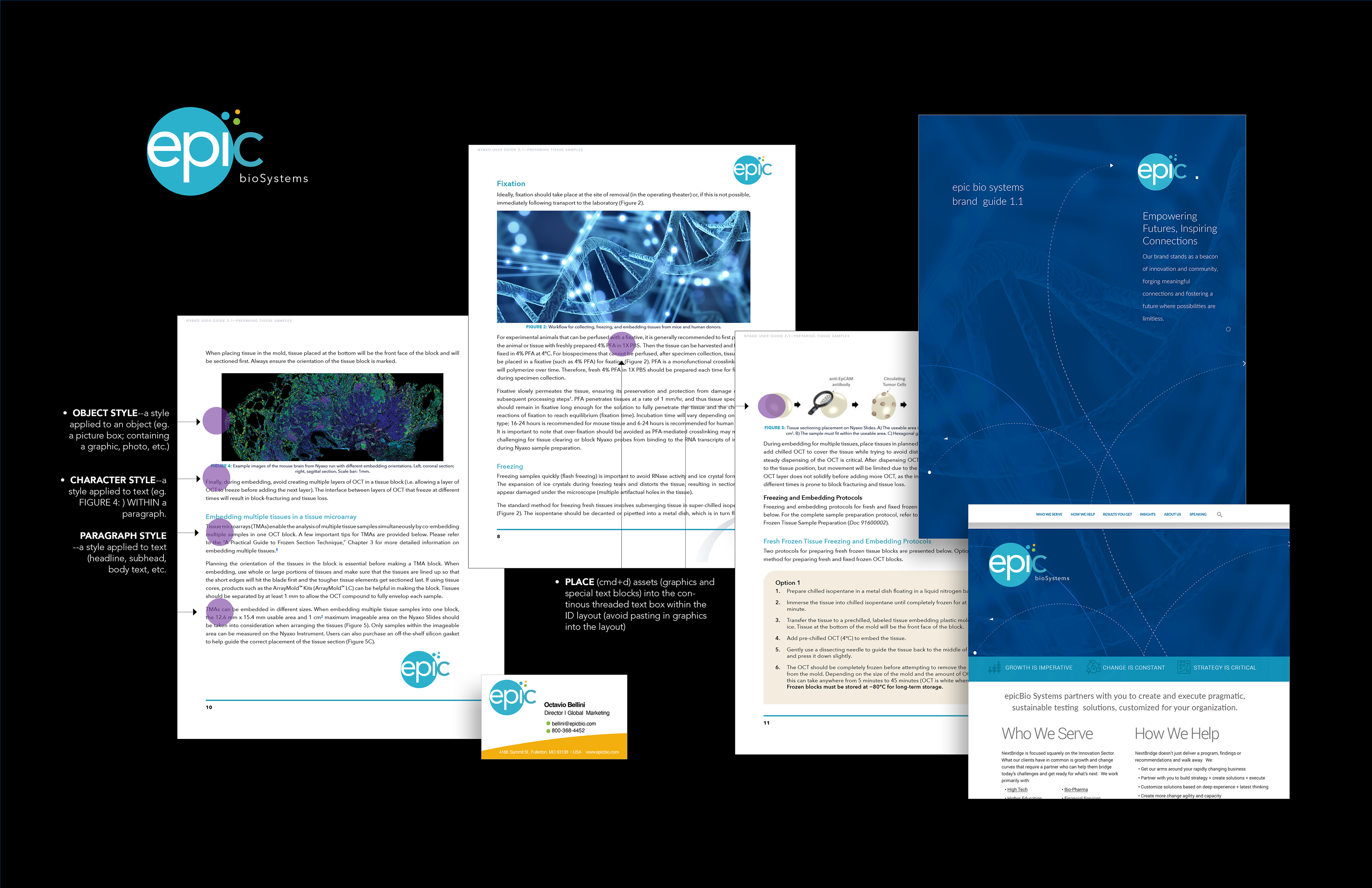 BRANDING FOR WEBSITE,  LOGO, TECHNICAL DOCUMENTS