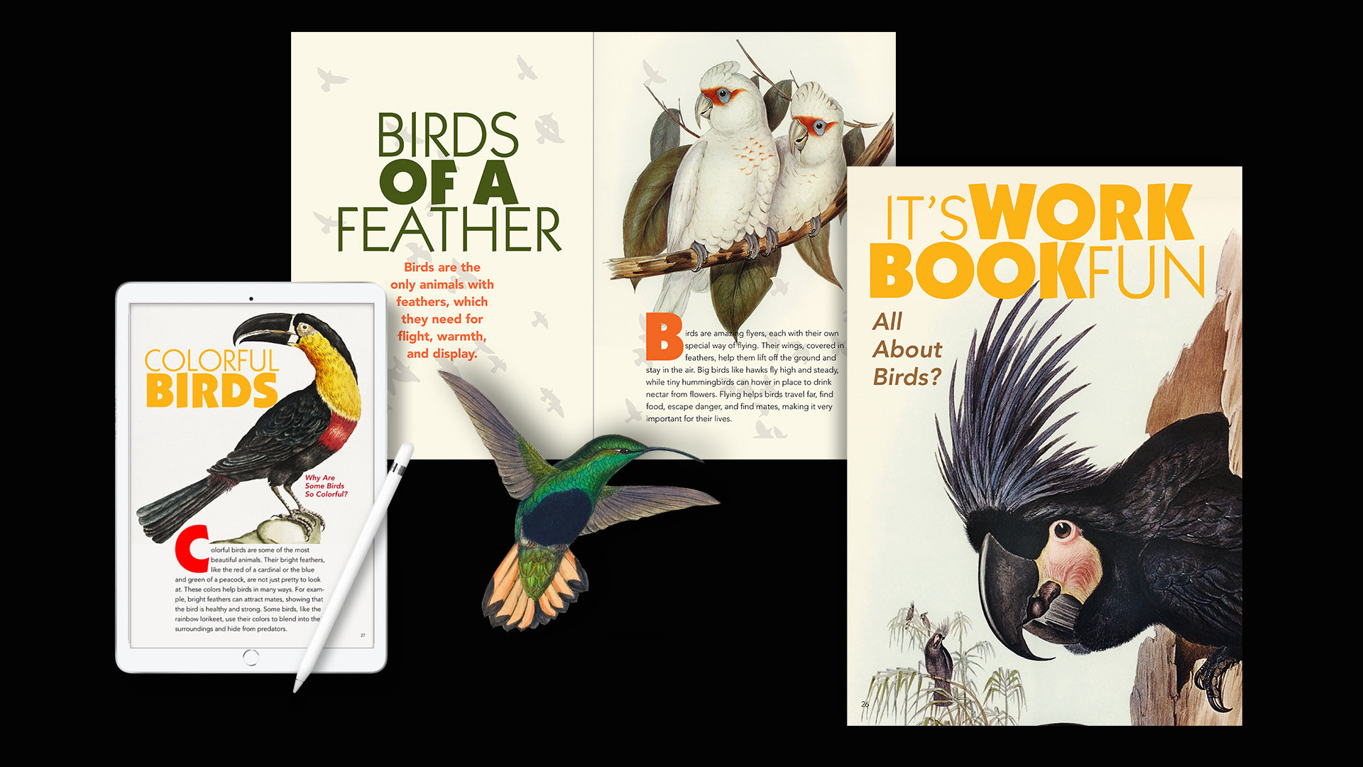 DESIGN, LAYOUT AND BRANDING FOR YOUNG READERS BOOK SERIES