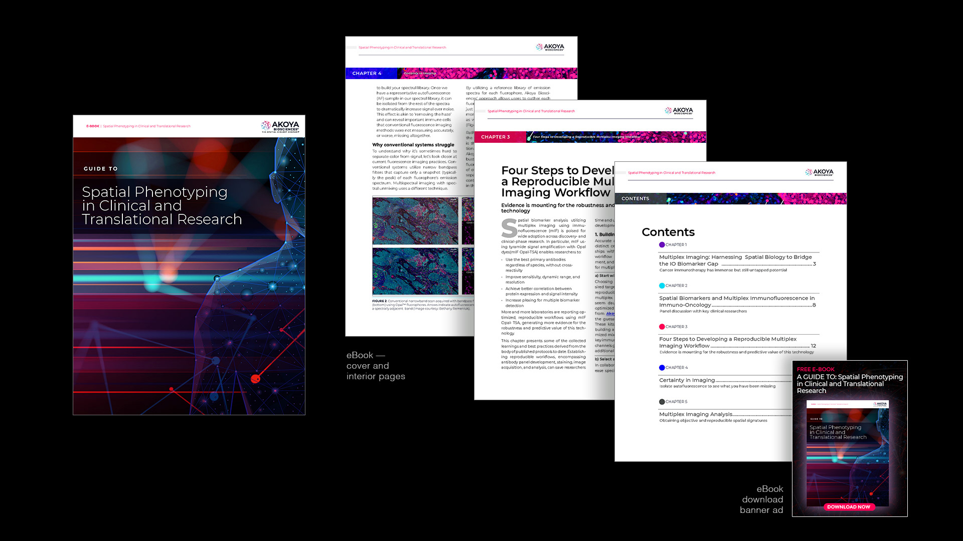 eBOOK AND BANNER AD--DESIGN/PRODUCTION