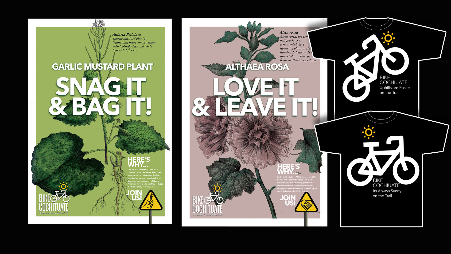 PRO BONO--CONCEPT AND LOGO DEVELOPMENT, POSTER SERIES  DESIGN , APPAREL