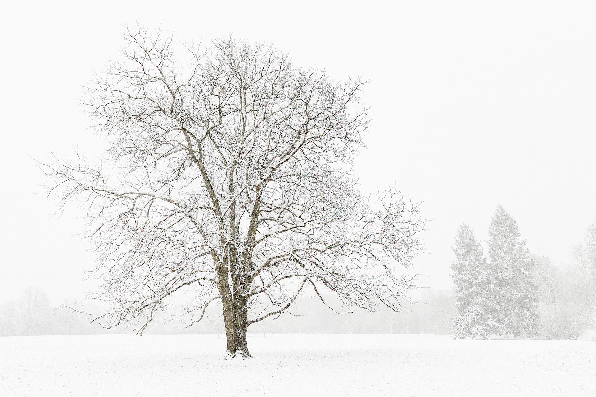 La mémoire des saisons