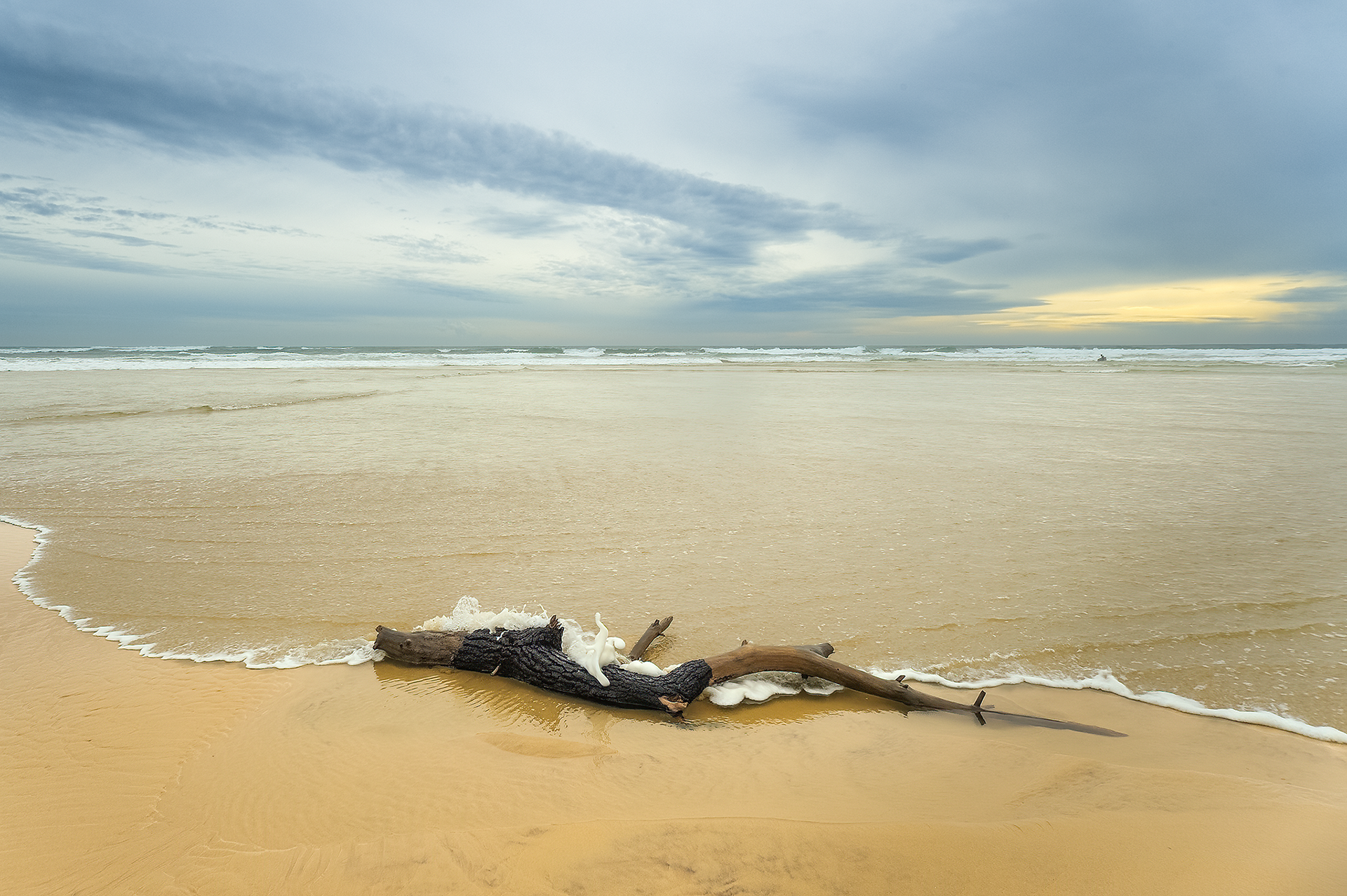 Immensité (La Salie)