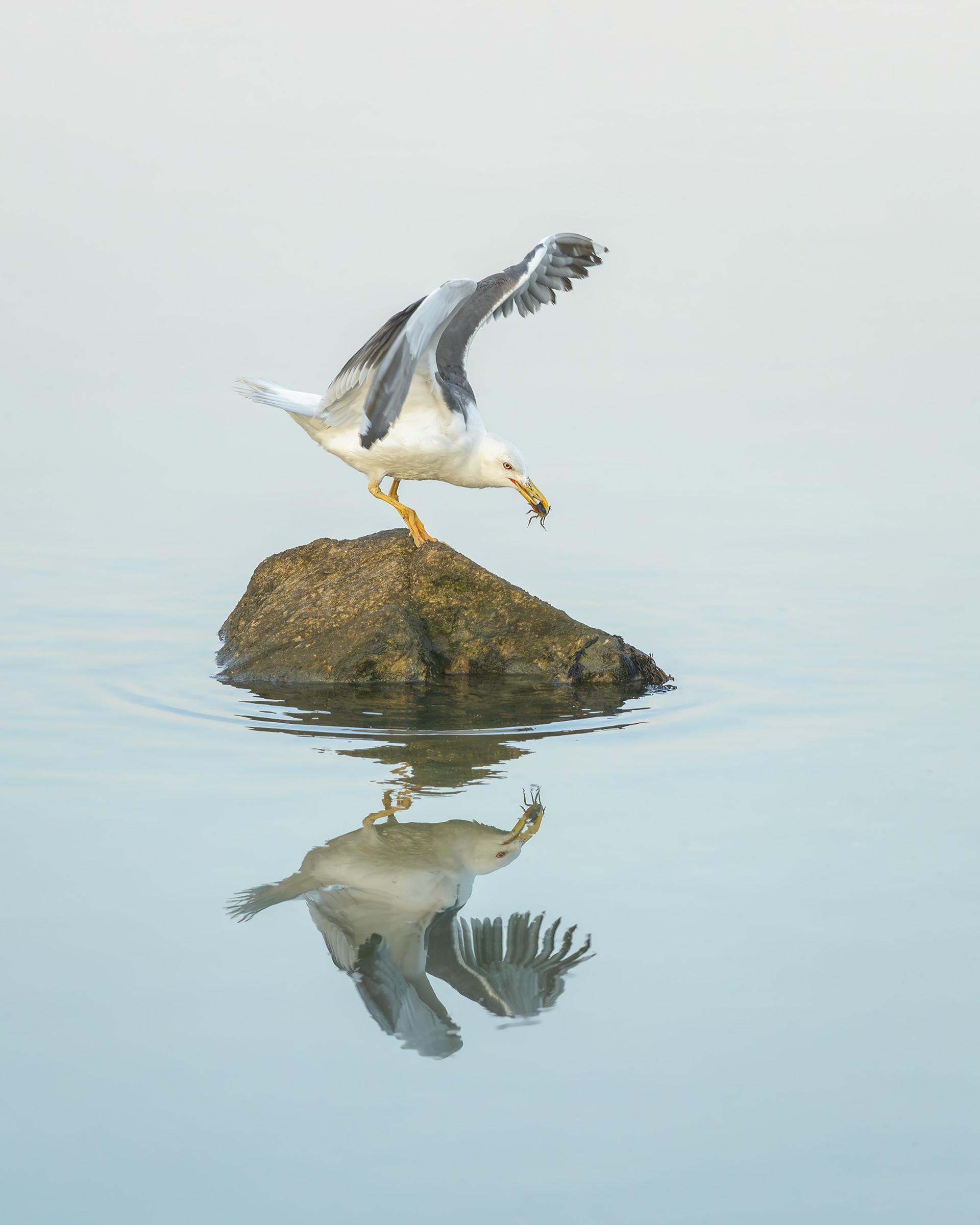 Le pêcheur