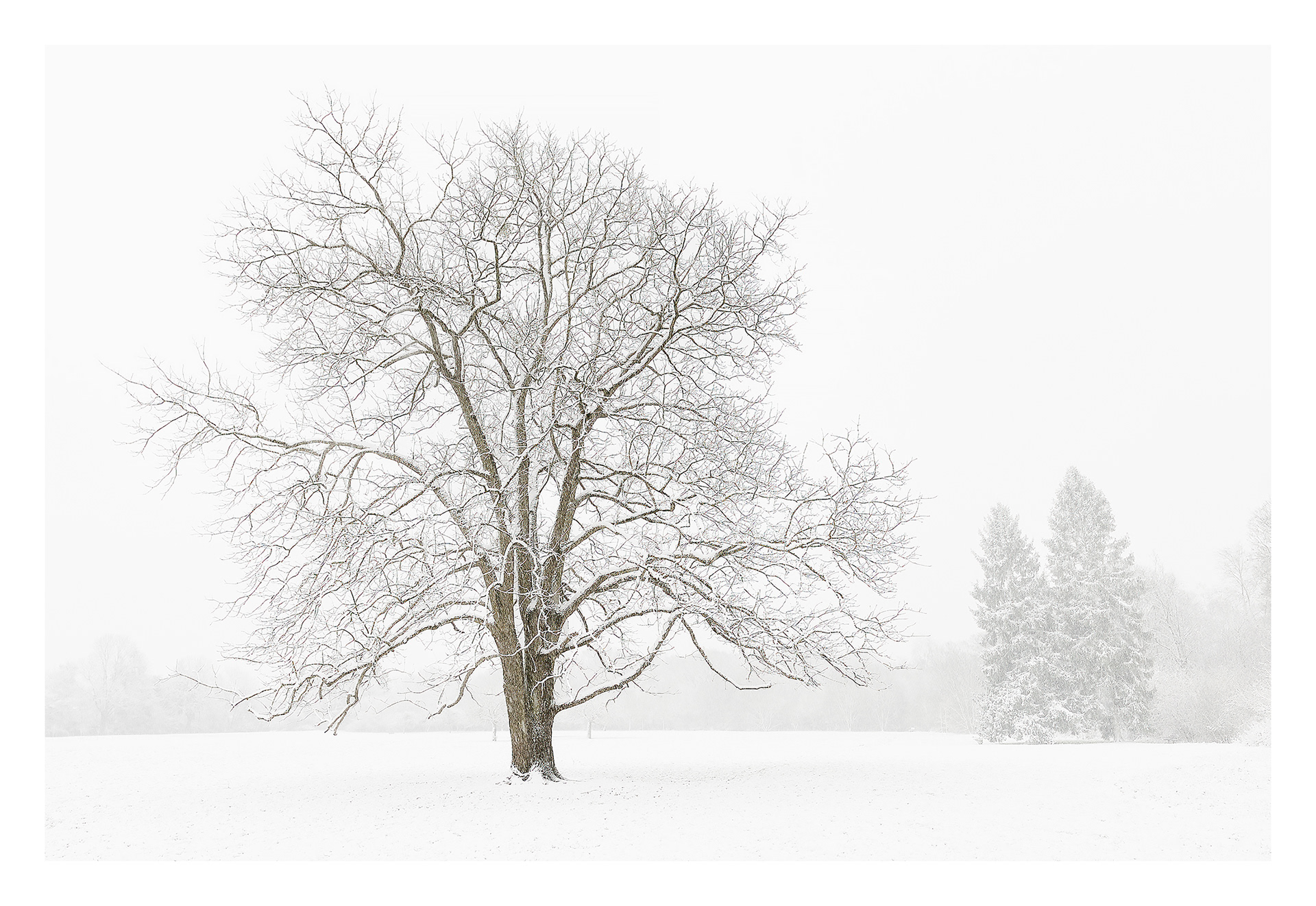 La mémoire des saisons