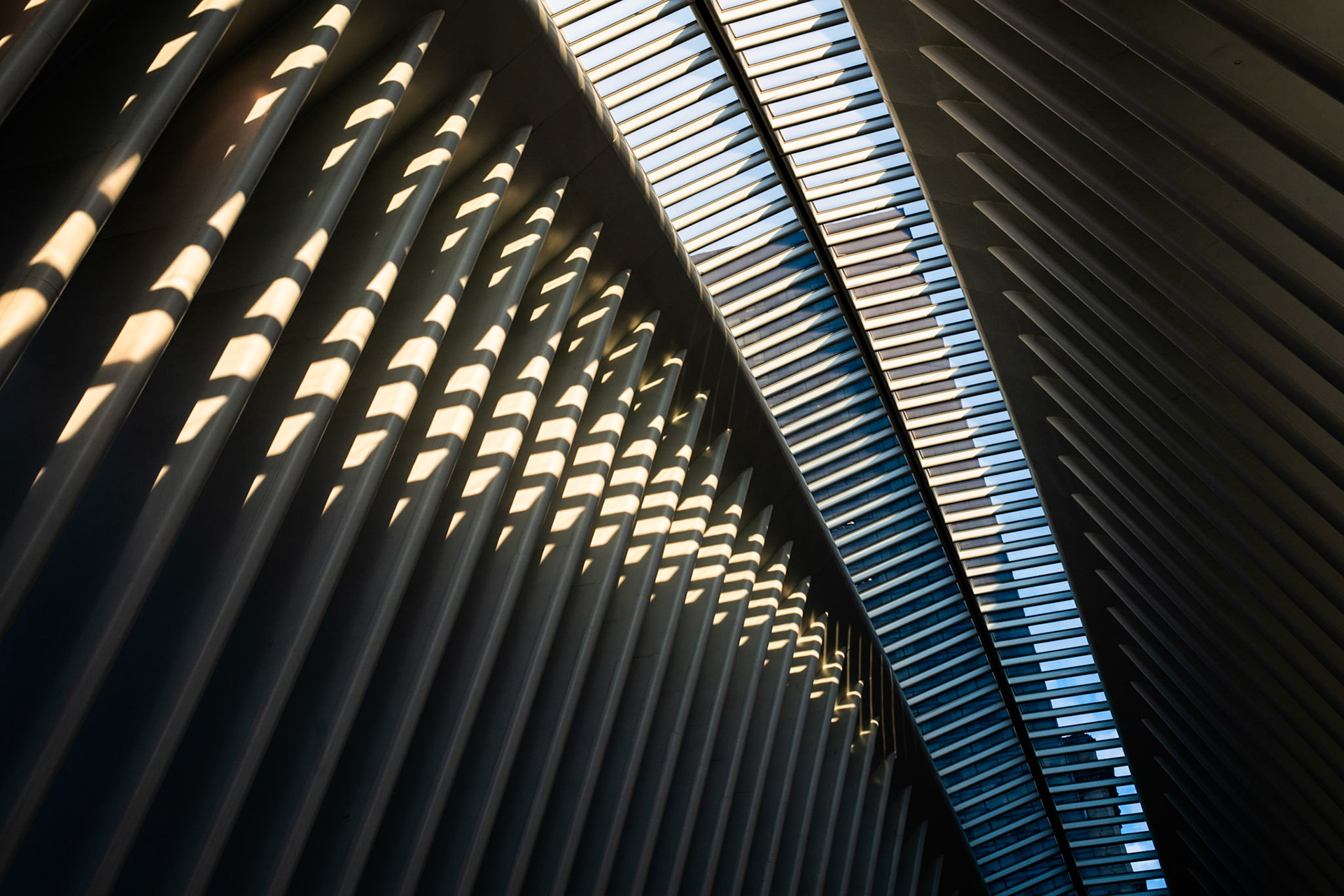 Oculus Train Station