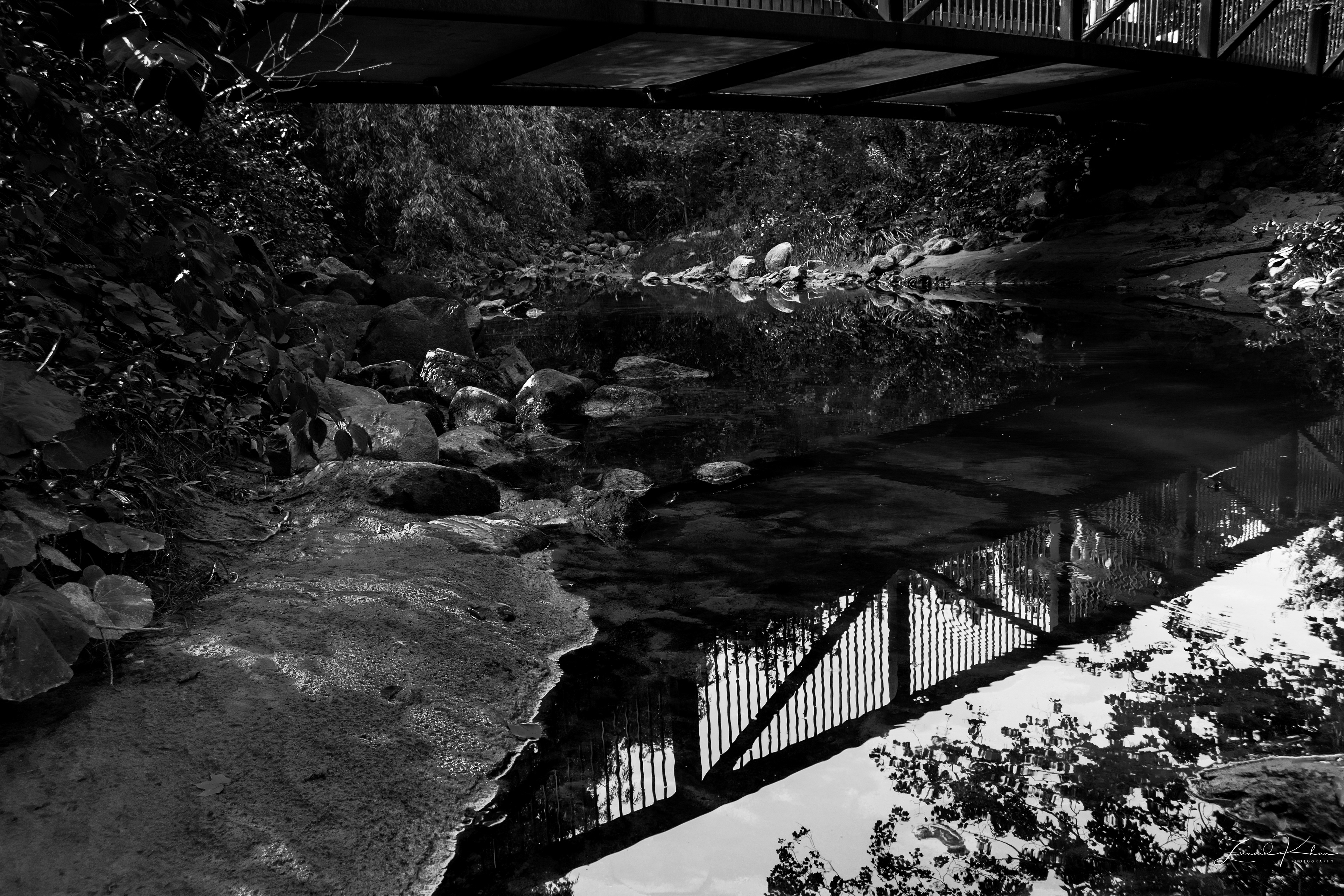Bridge Reflection